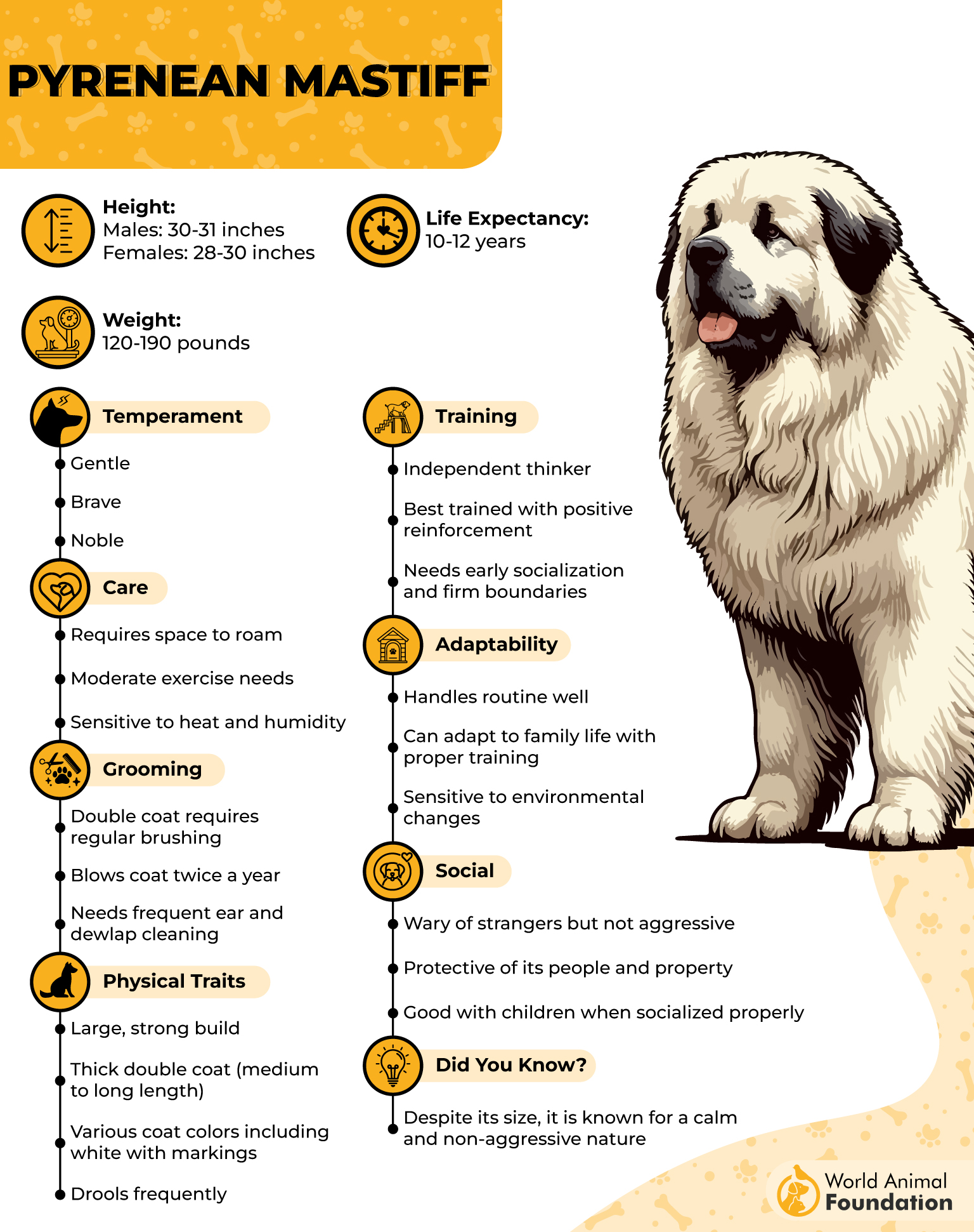 Pyrenean Mastiff Profile