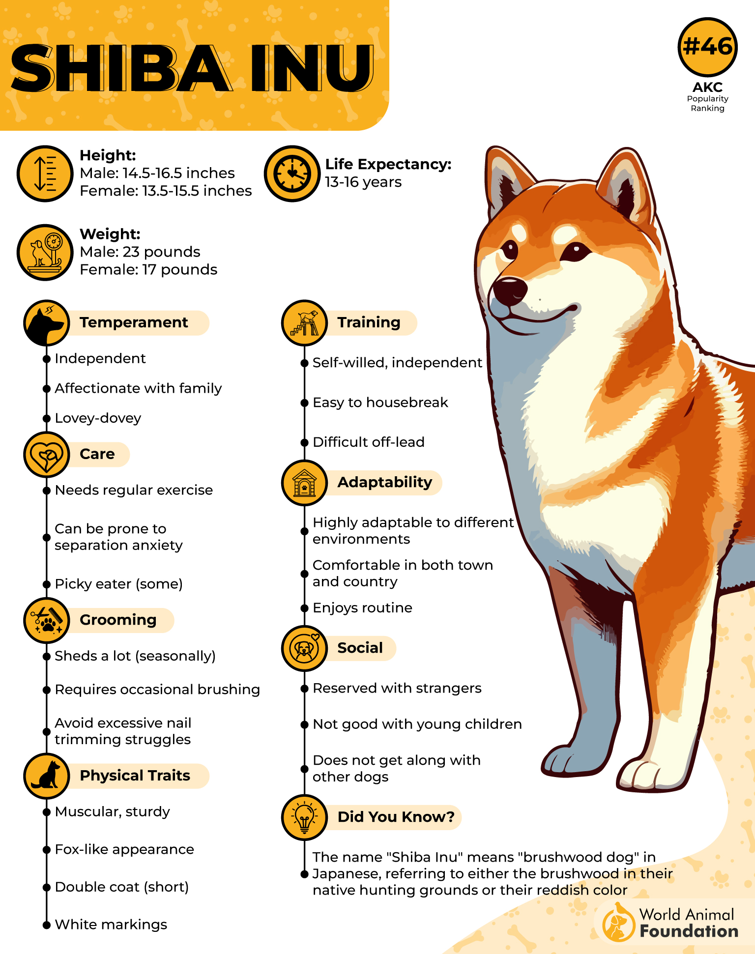 Shiba Inu Profile