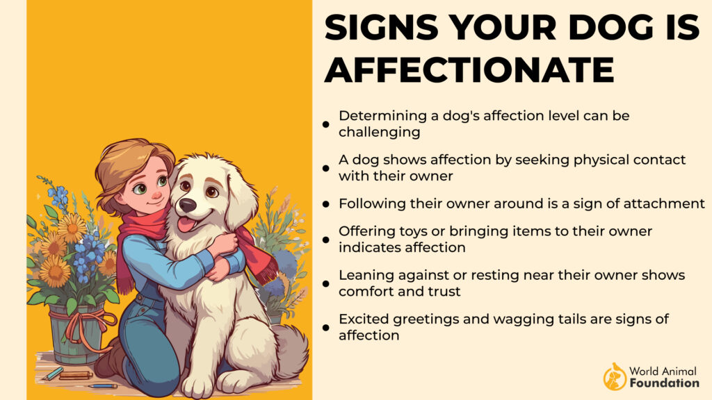 sign your dog is affectionate