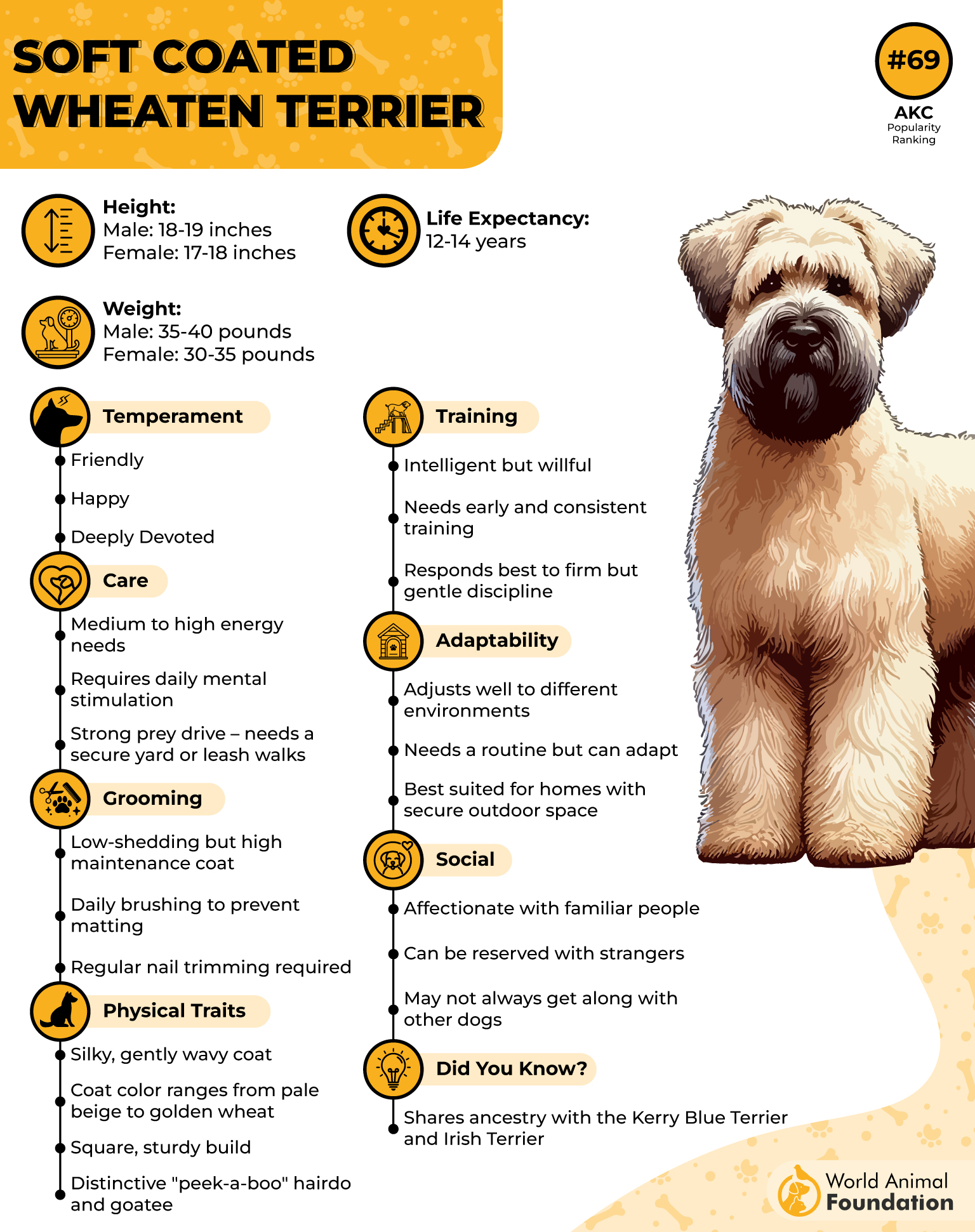 Soft Coated Wheaten Terrier Profile