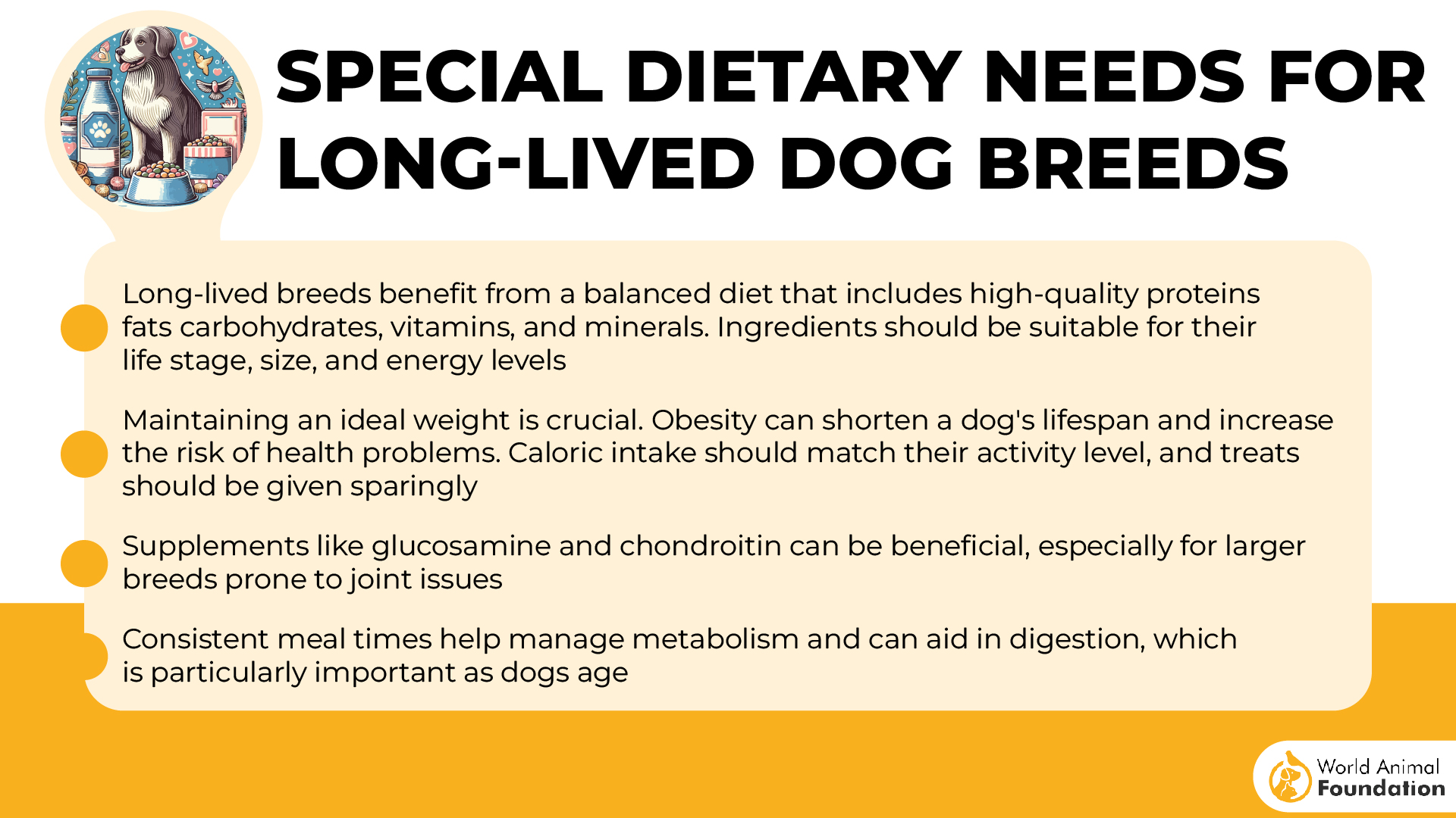 Special Dietary Needs for Long-Lived Dog Breeds-01