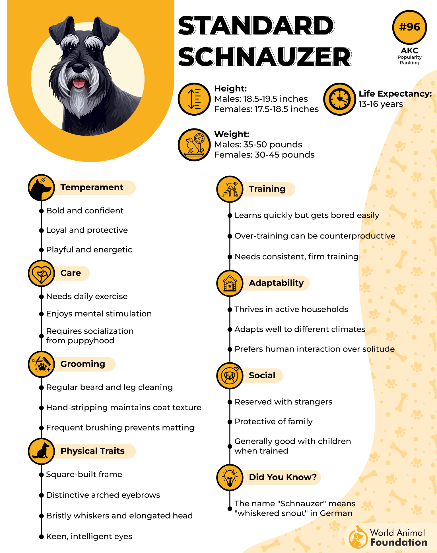 Standard Schnauzer Profile