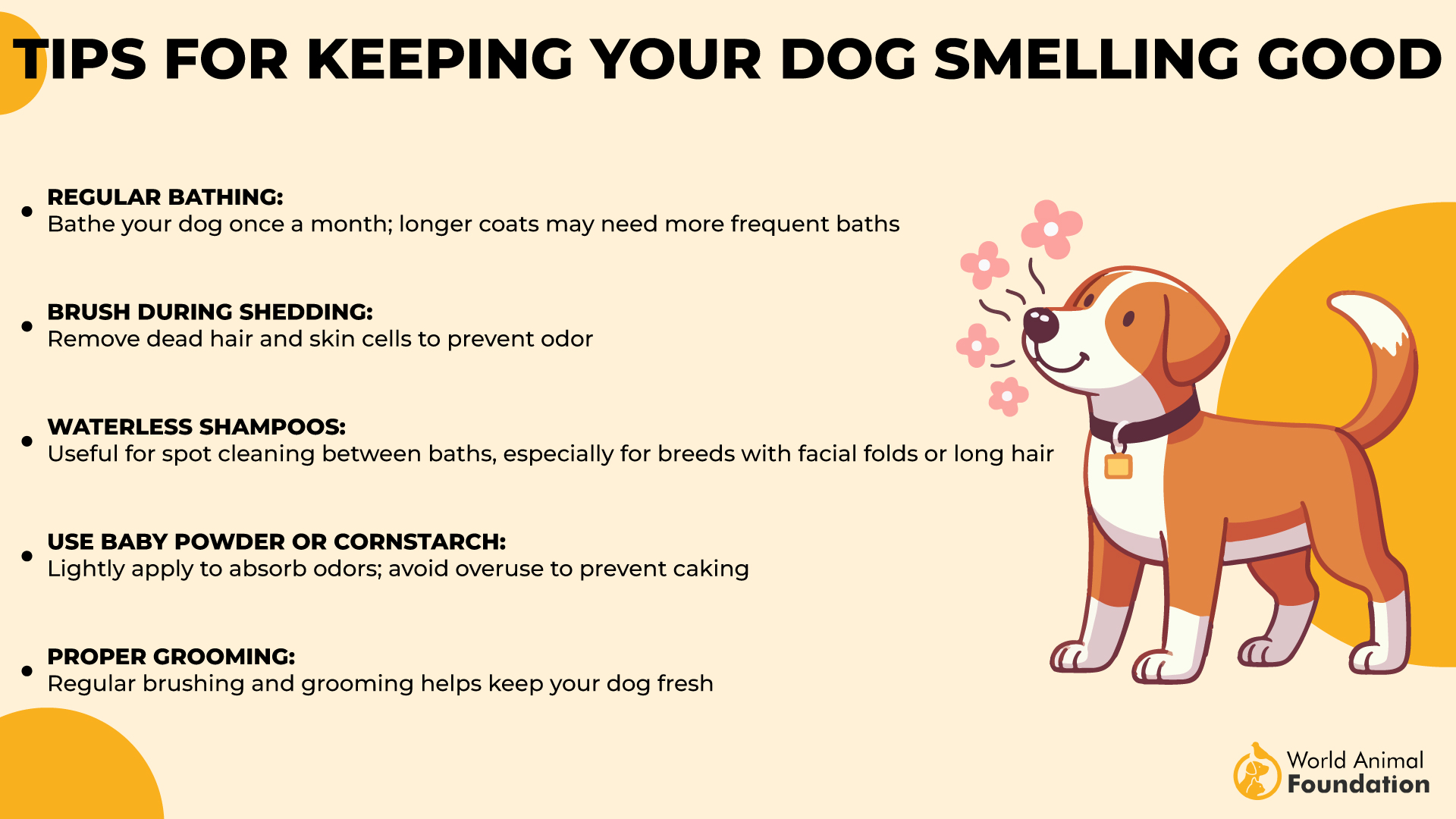 Tips for Keeping Your Dog Smelling Good-01