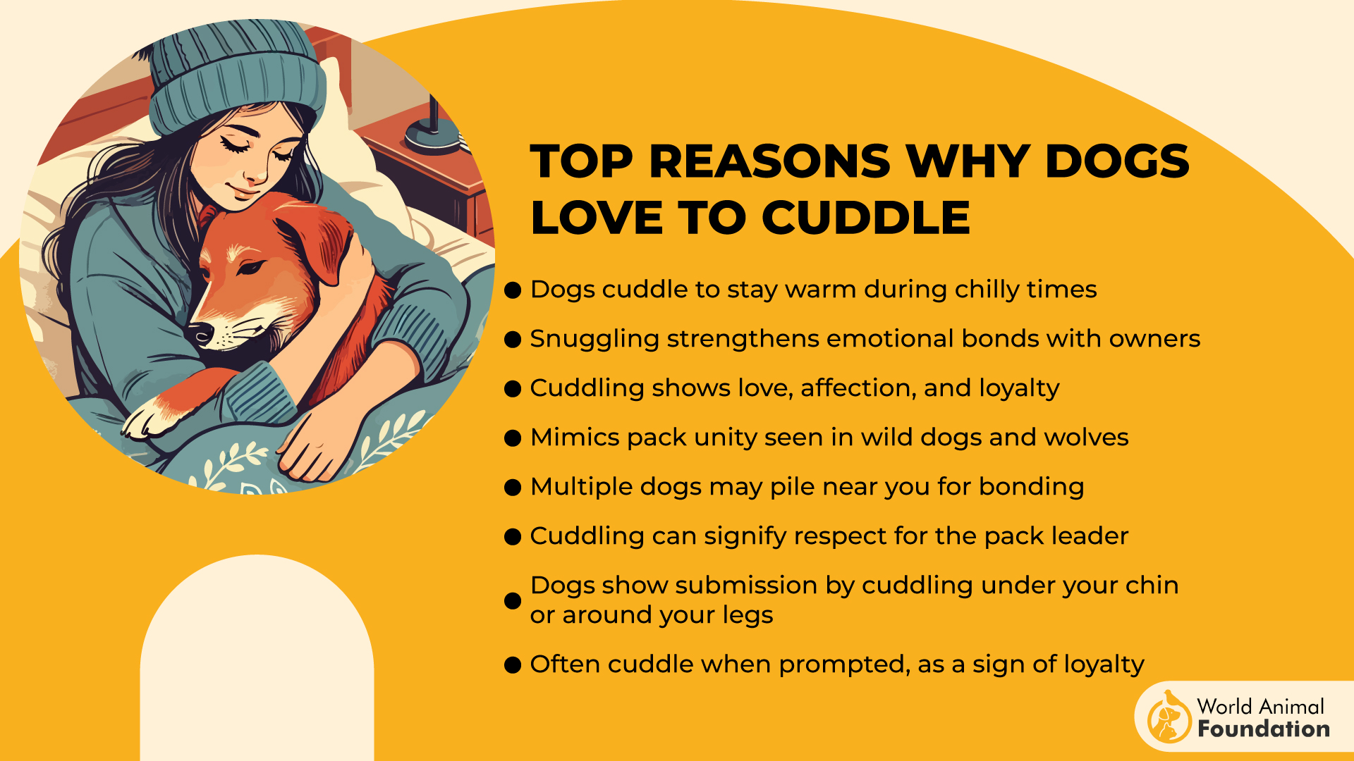 Top Reasons Why Dogs Love to Cuddle-01