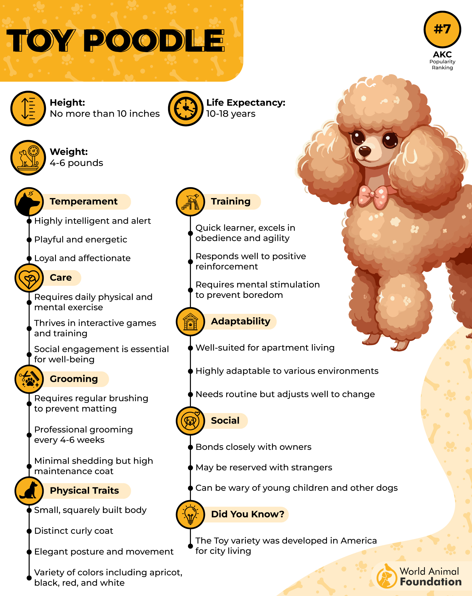 Toy Poodle Profile