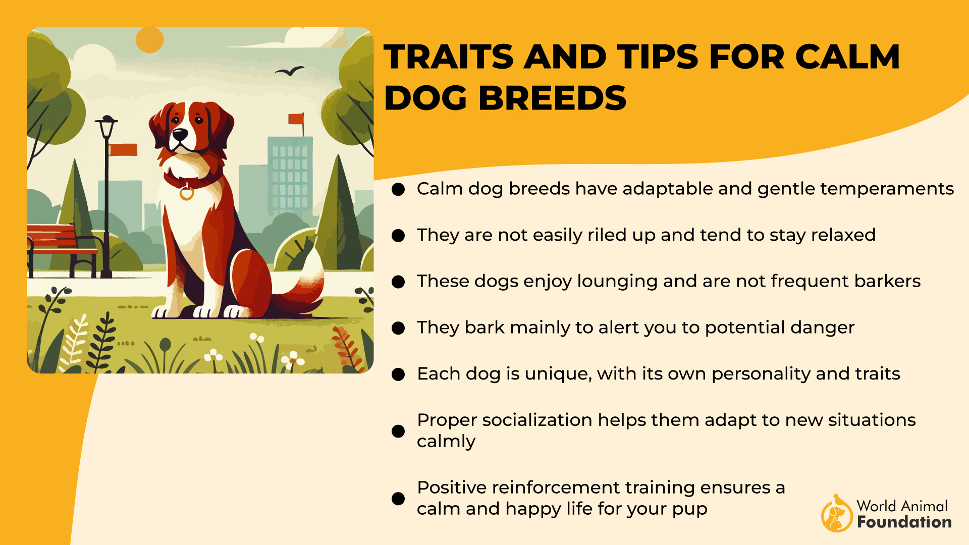 Traits and Tips for Calm Dog Breeds-01