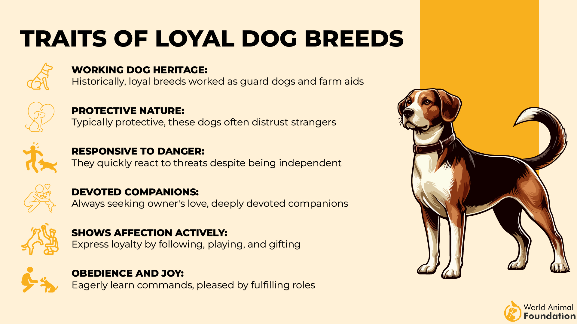 Traits of Loyal Dog Breeds-01