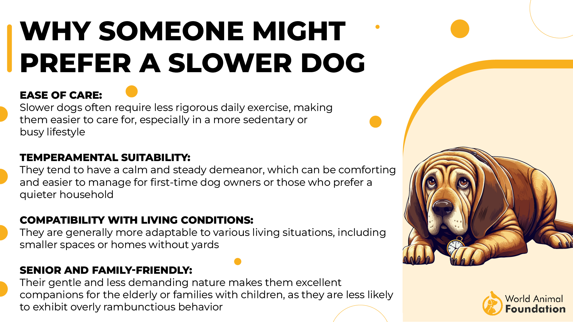 Why Someone Might Prefer a Slower Dog-01