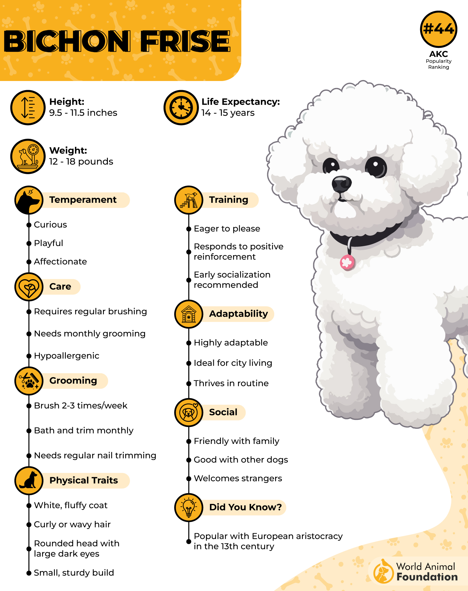 Bichon Frise Profile