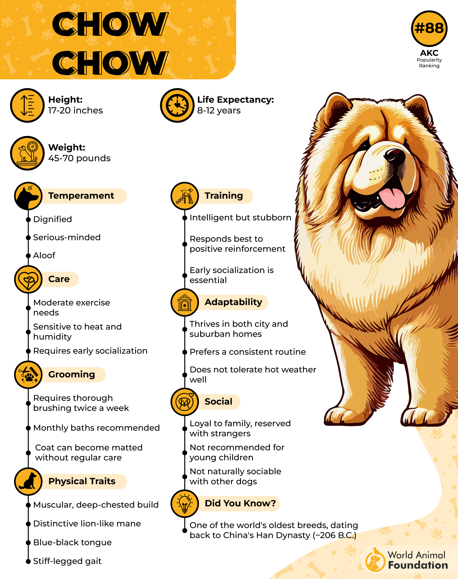 Chow Chow Profile