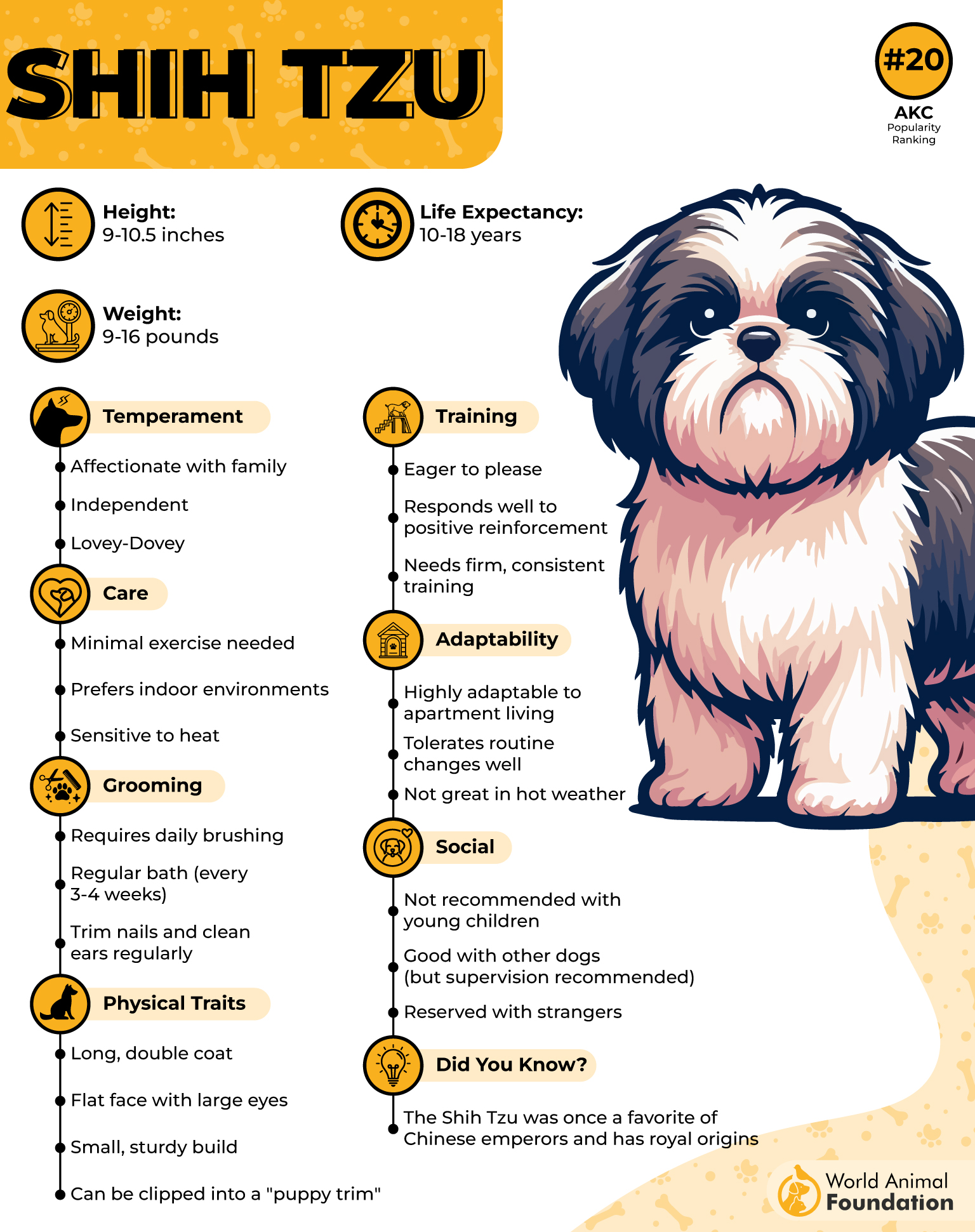 Shih Tzu Profile