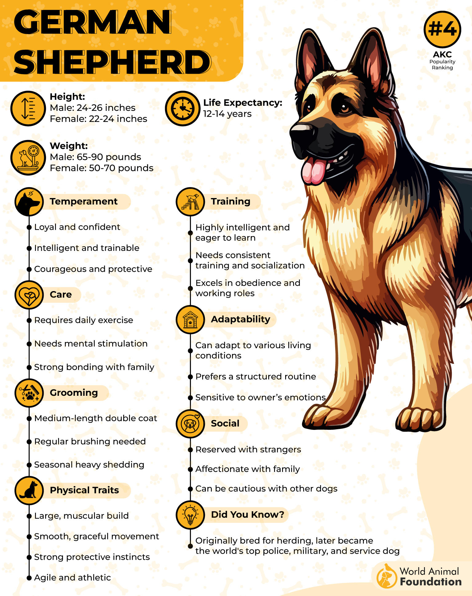 German Shepherd Profile