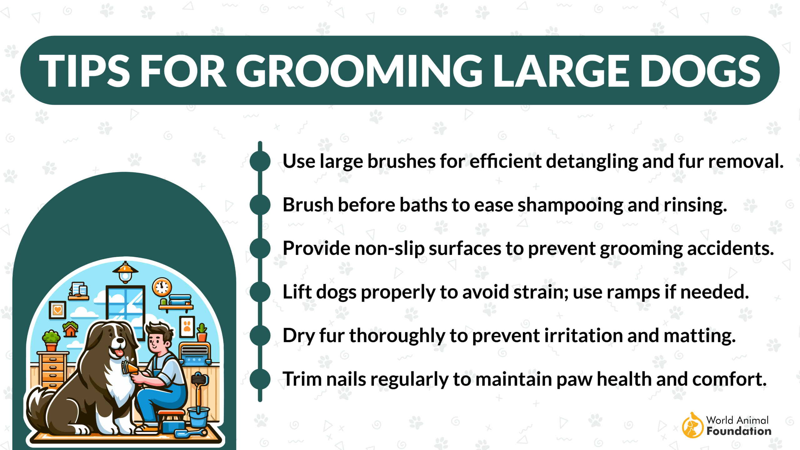 tips for grooming large dogs-01