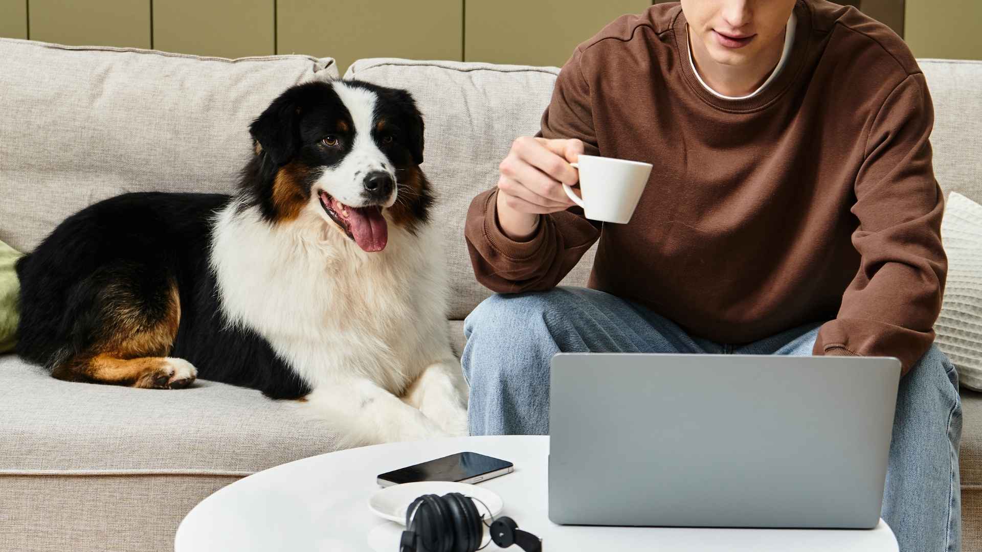 10 Independent Dog Breeds for People Who Work All Day