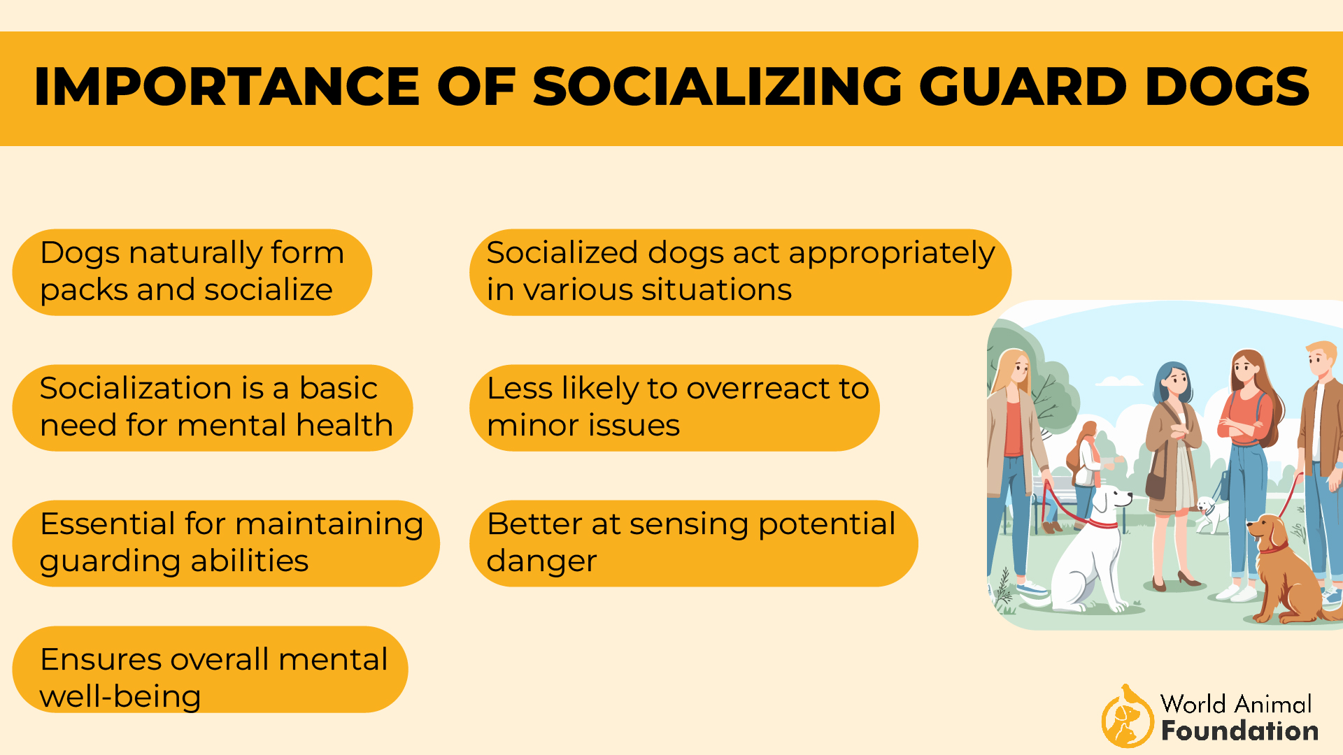 Importance of Socializing Guard Dogs-01