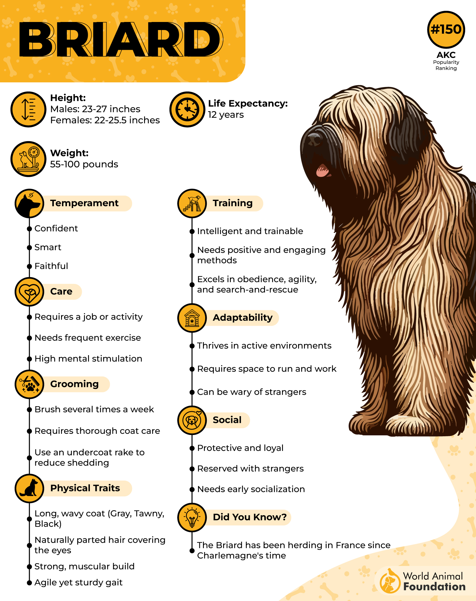 Briard Profile