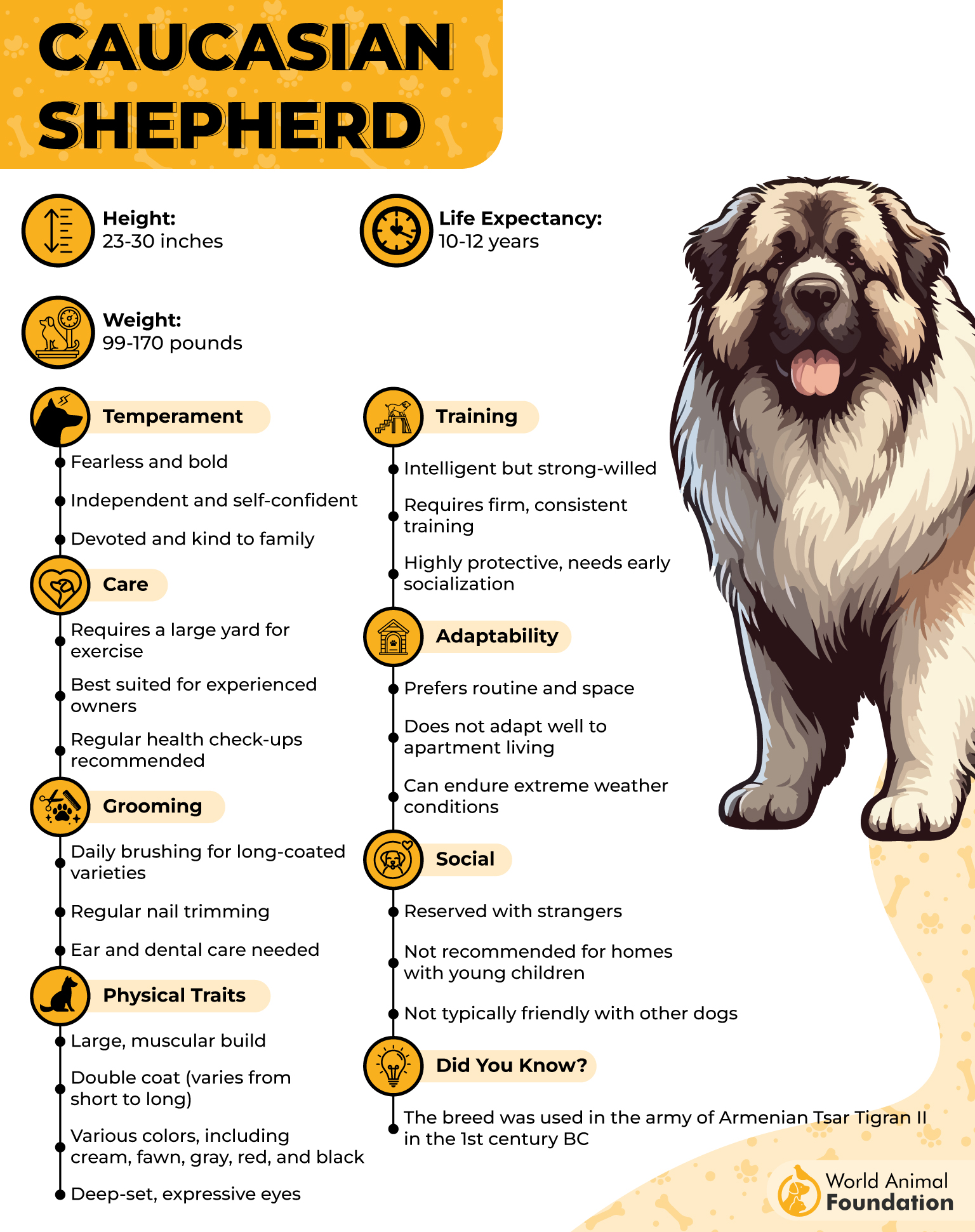 Caucasian Shepherd Profile