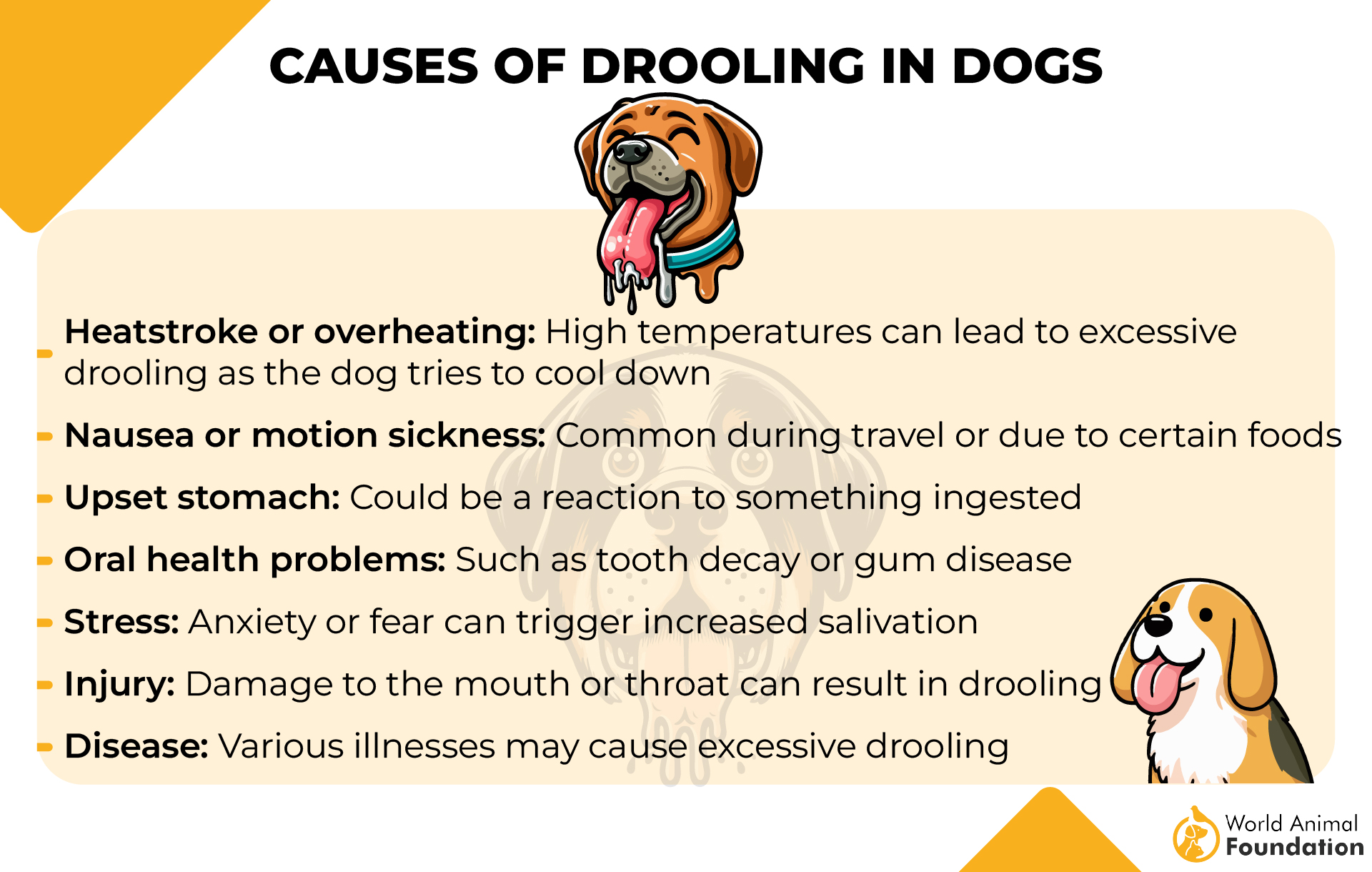 Causes of Drooling in Dogs-01