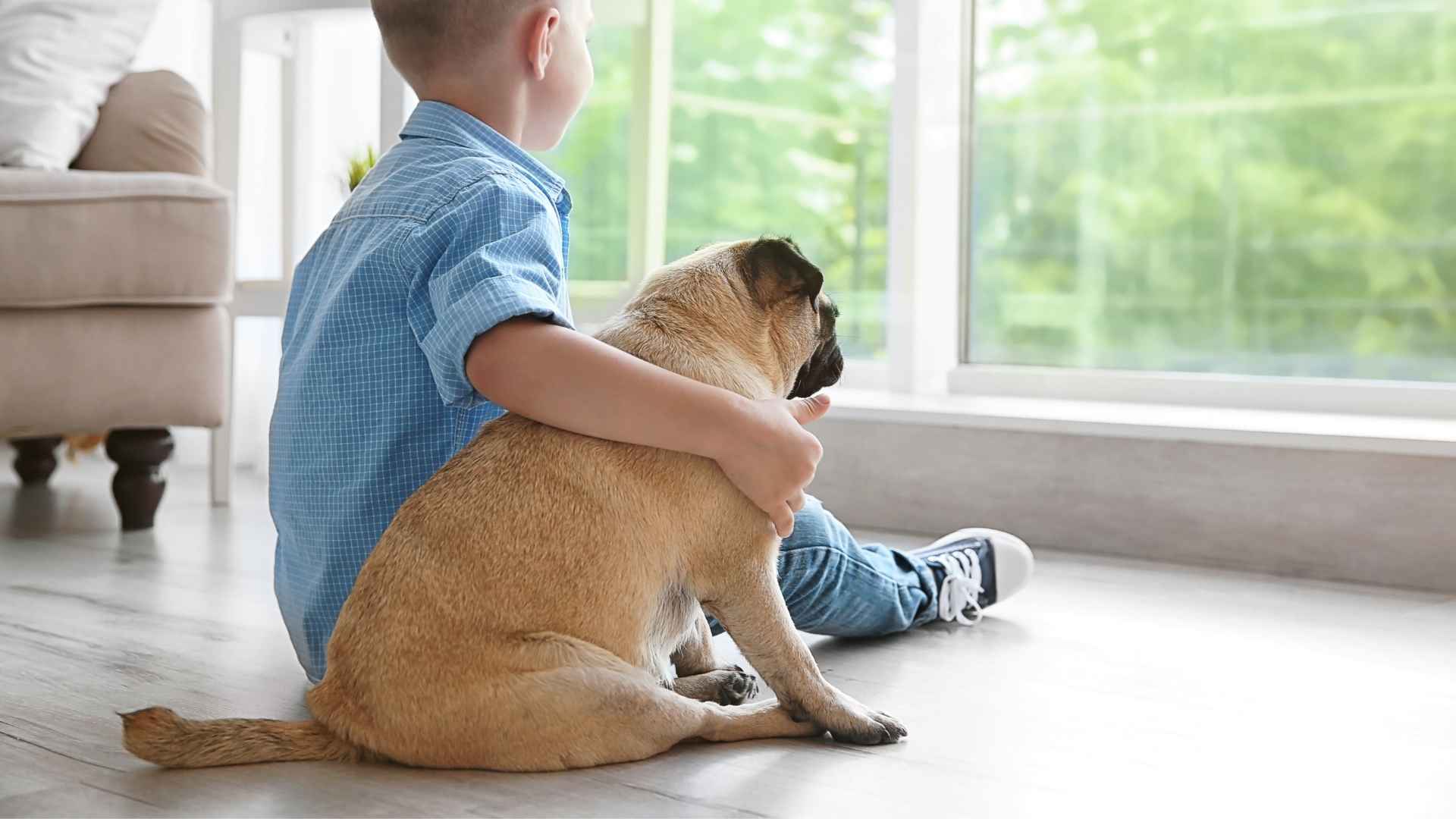 7 Loving Dog Breeds That Love Kids 1