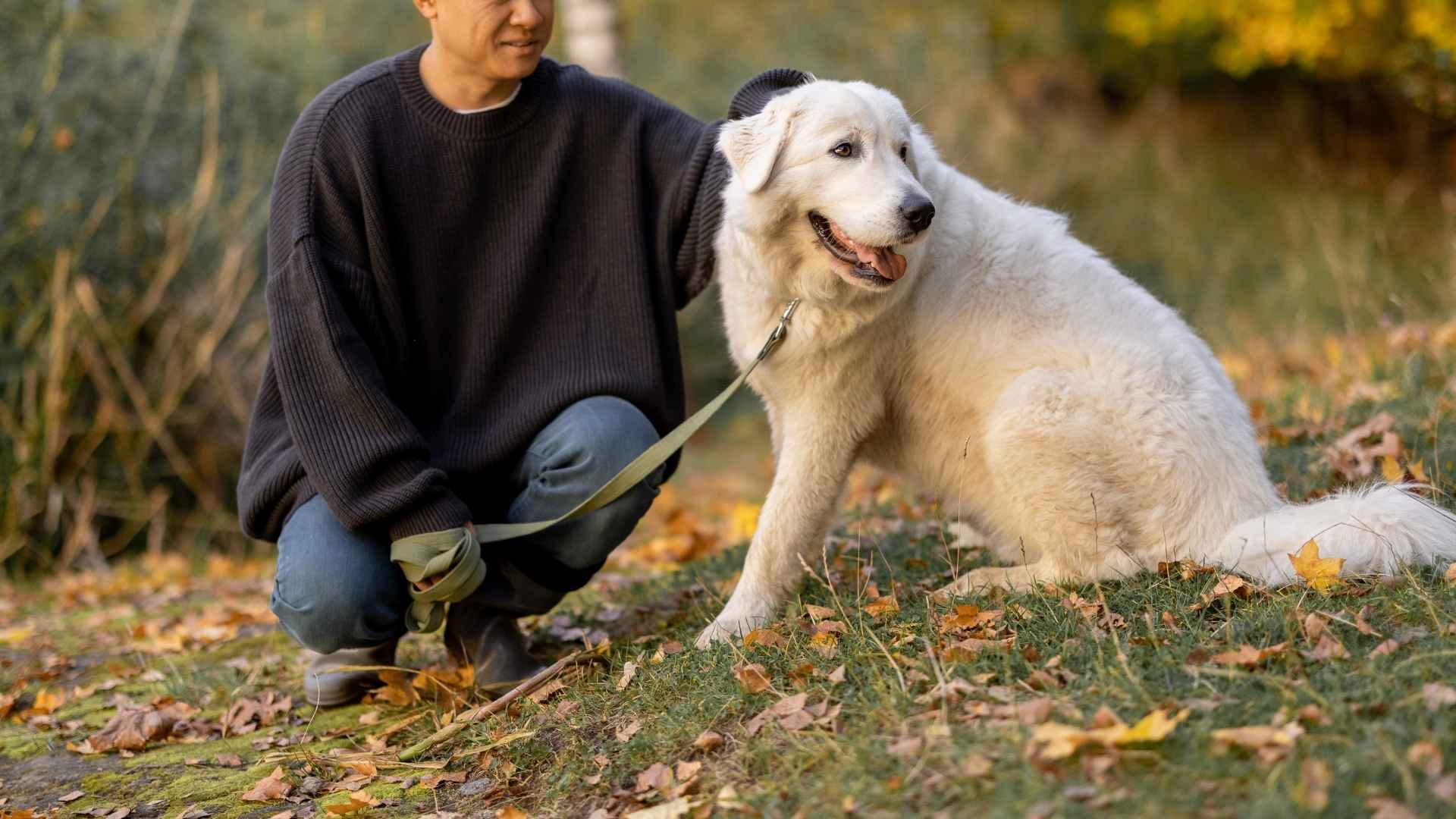 7 Most Slobbery Dog Breeds Embracing the Mess with Love