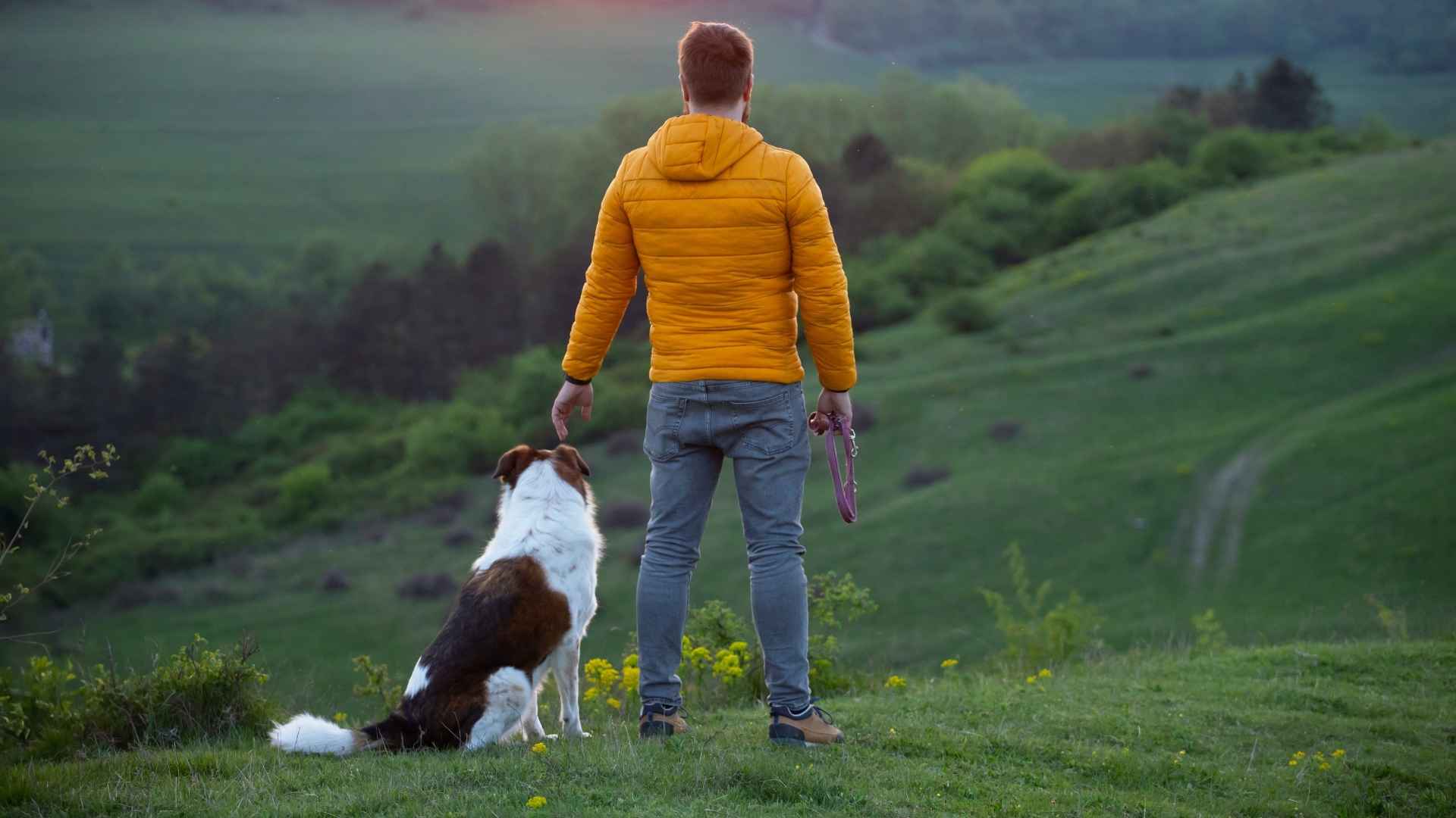 7 Tough Guard Dog Breeds for Men in Rural Areas