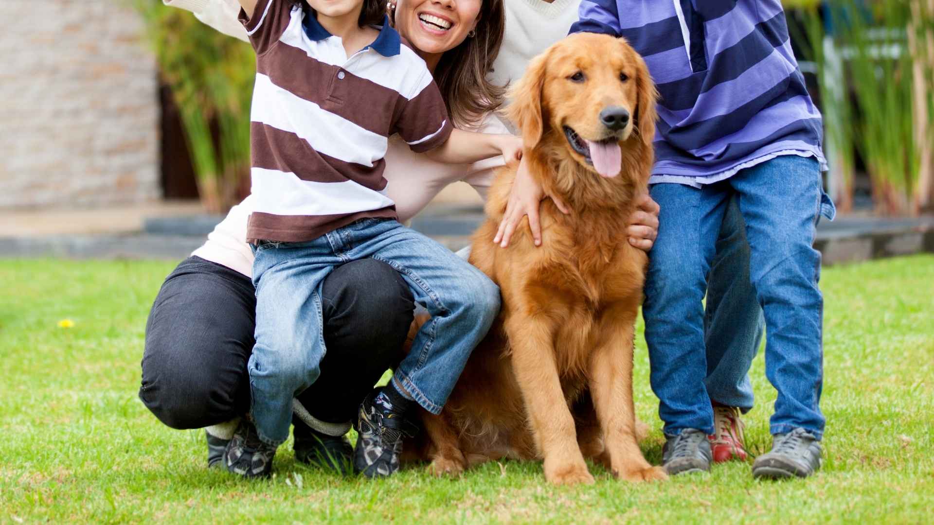 9 Best Guard Dog Breeds for Large Families