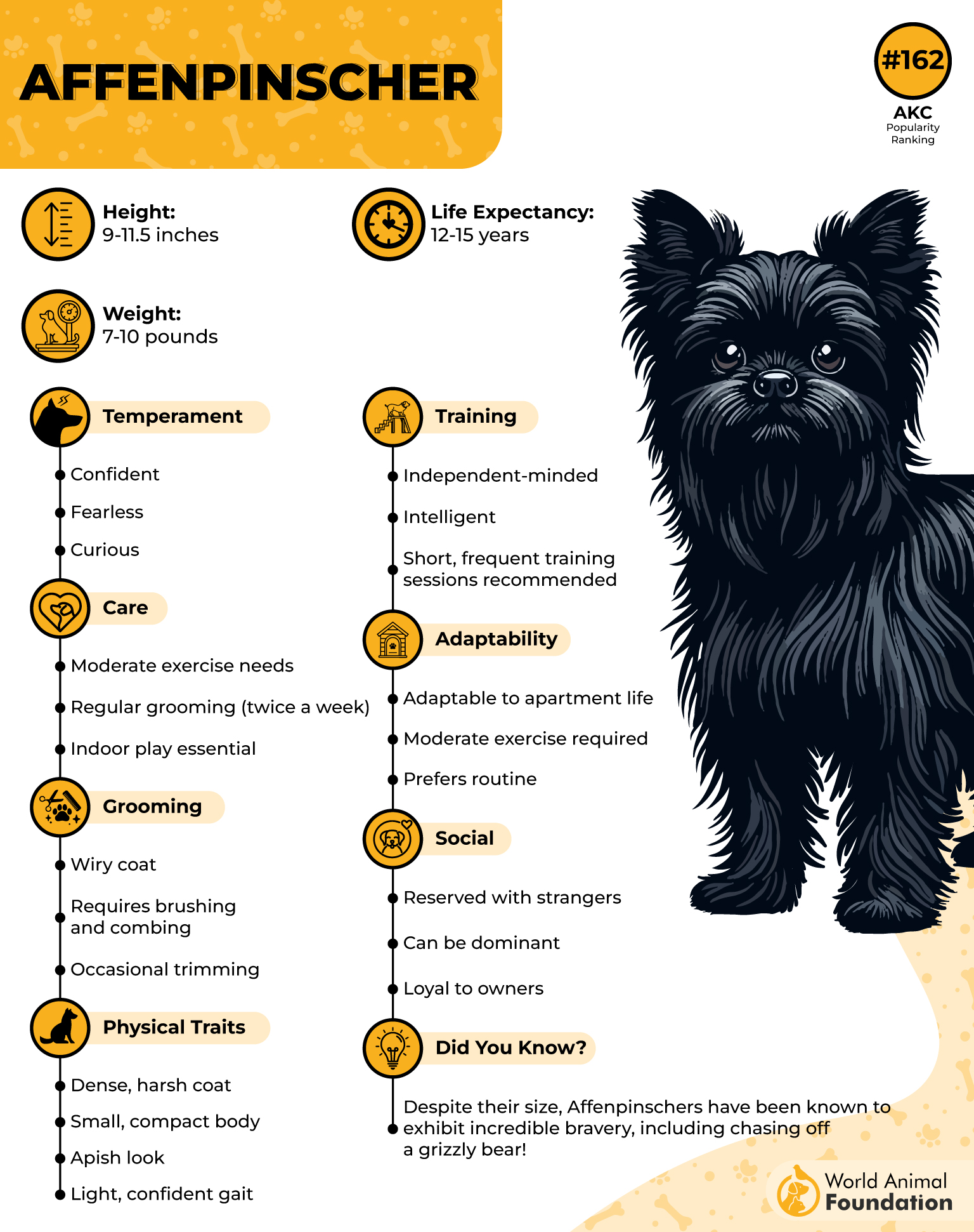 Affenpinscher Profile