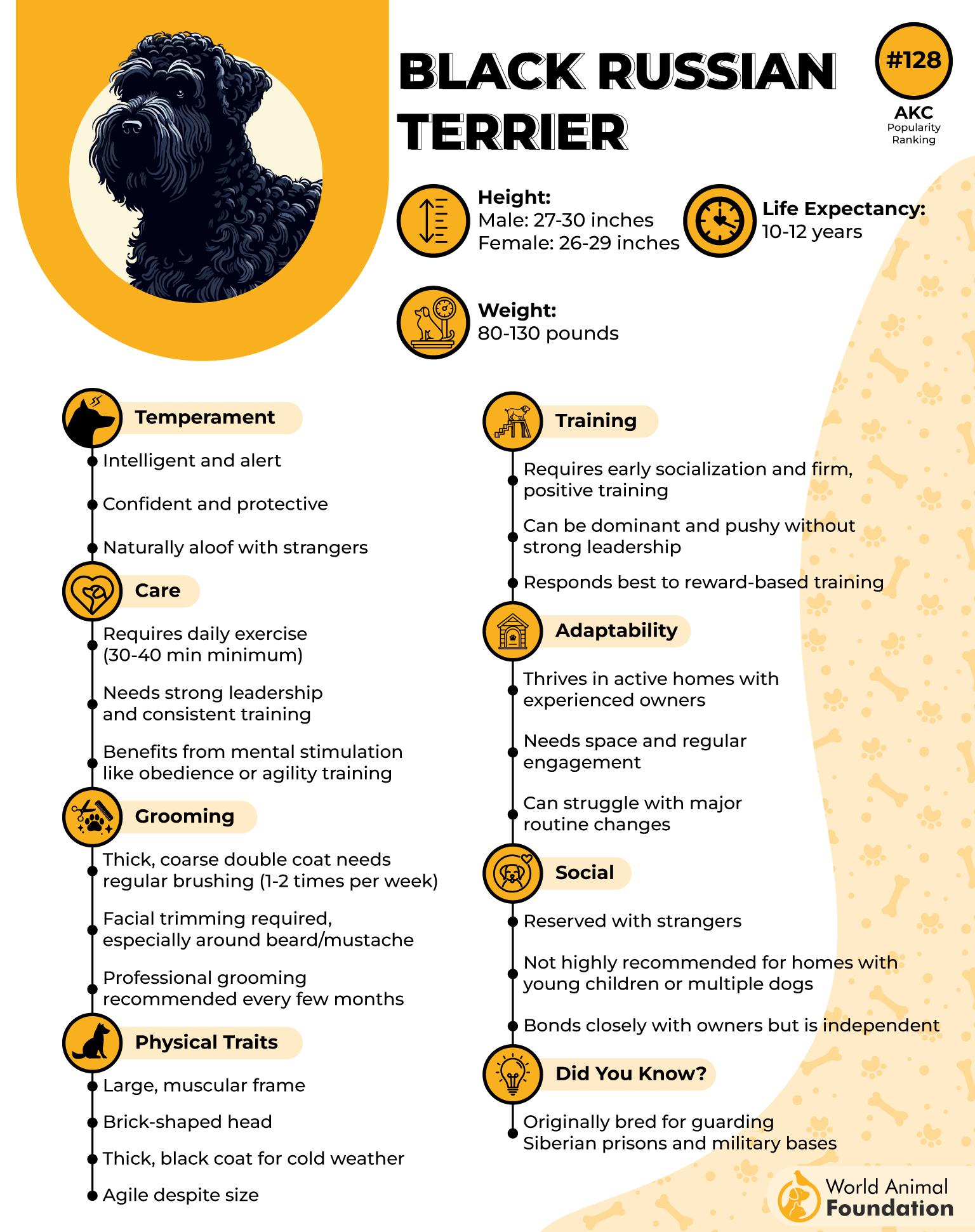 Black Russian Terrier Profile