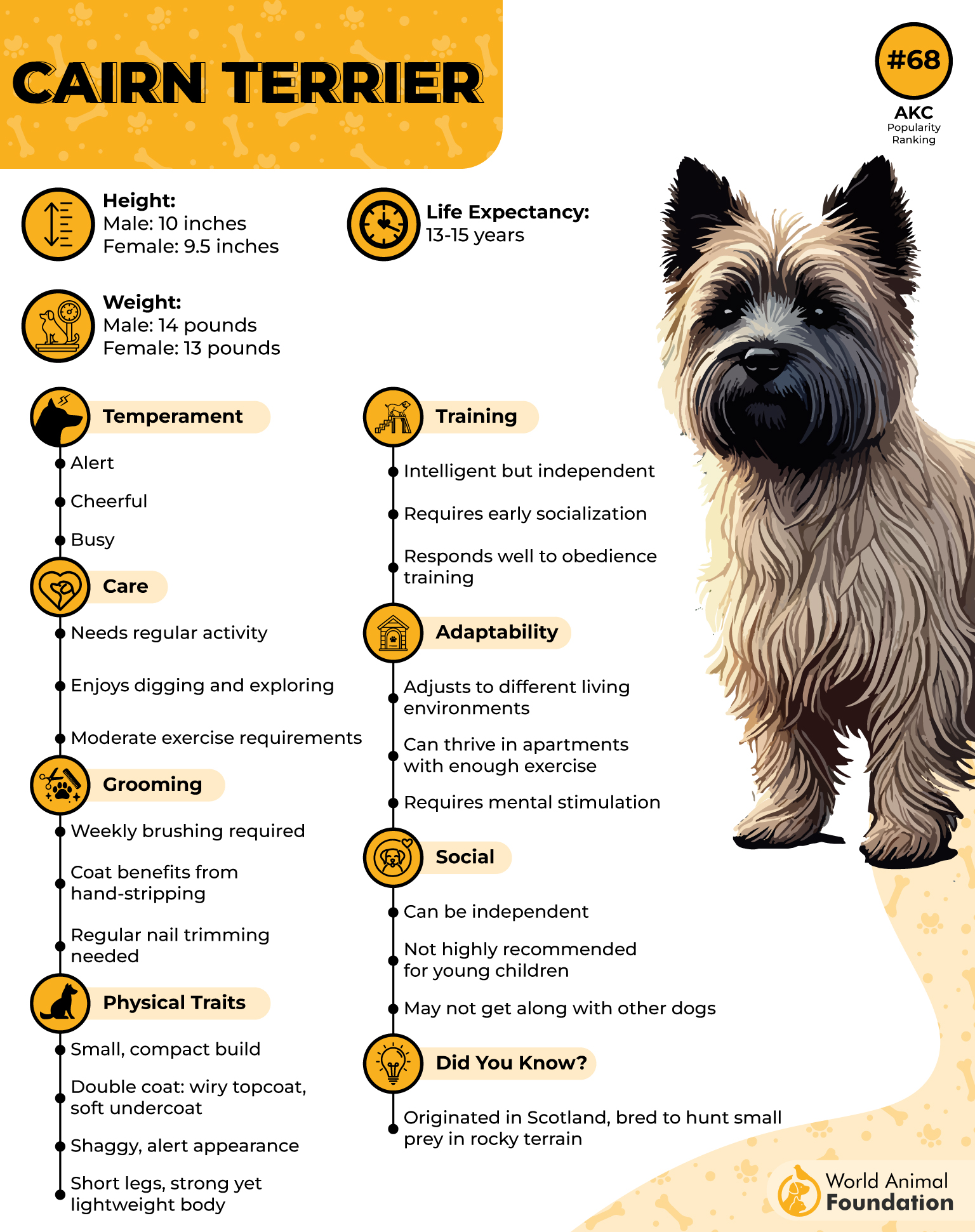 Cairn Terrier Profile