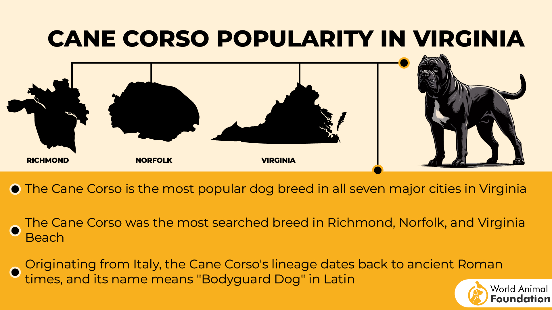 Cane Corso Popularity in Virginia-01