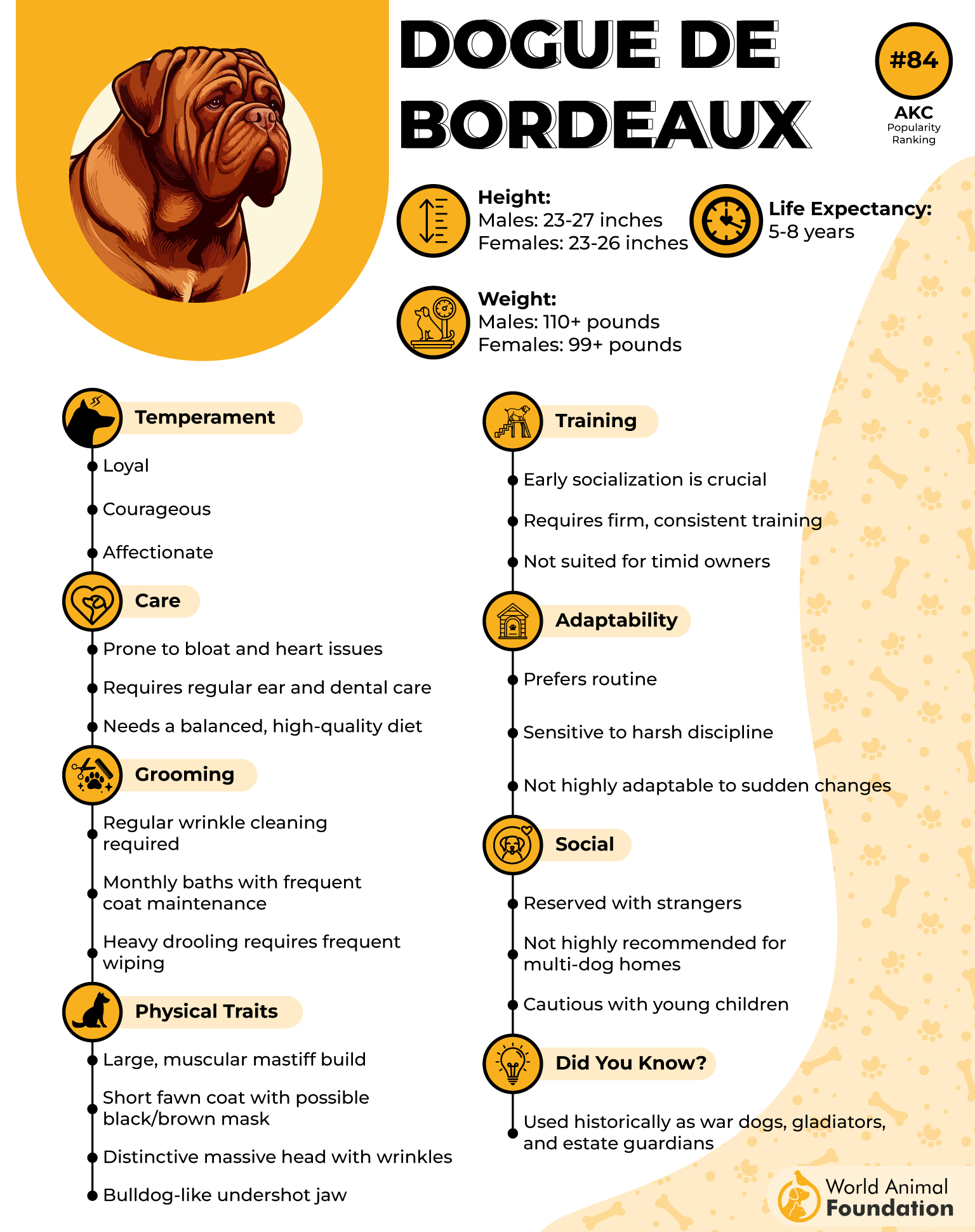 Dogue de Bordeaux Profile