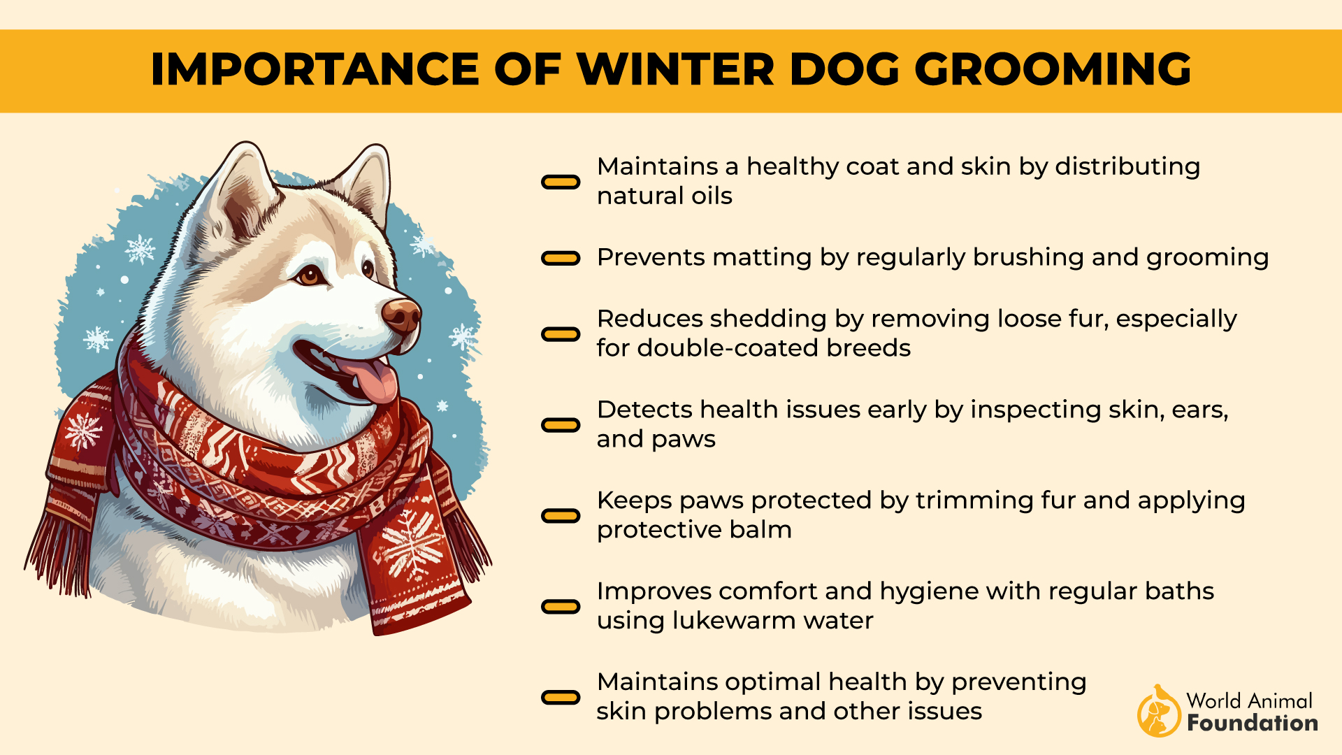 Importance of Winter Dog Grooming-01