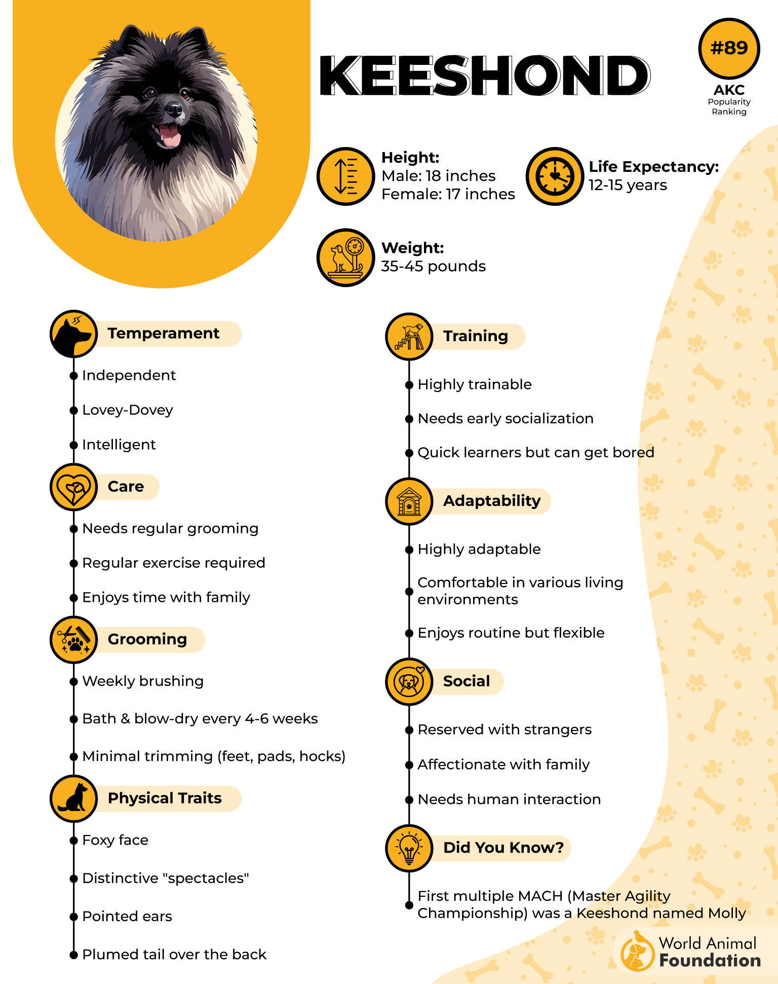 Keeshond Profile