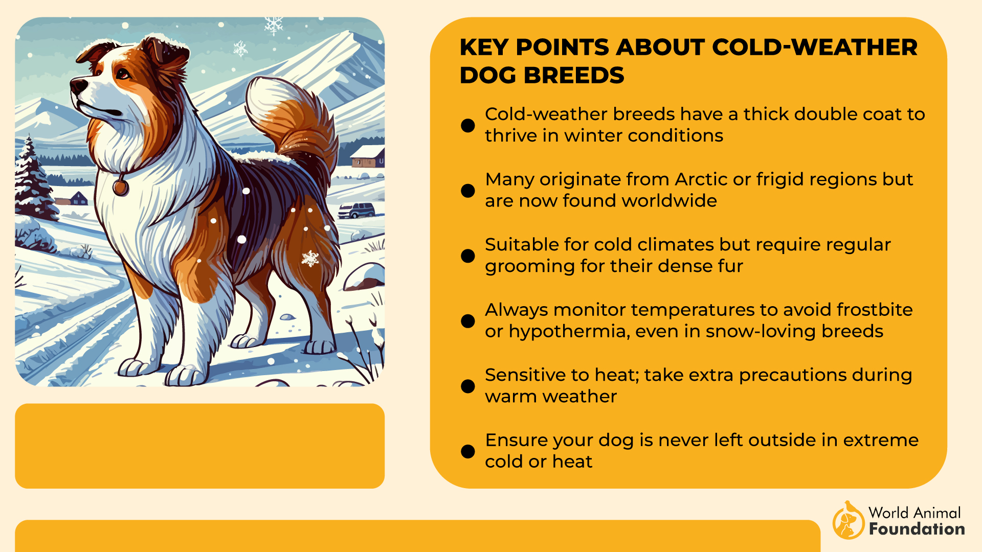 Key Points About Cold-Weather Dog Breeds-01