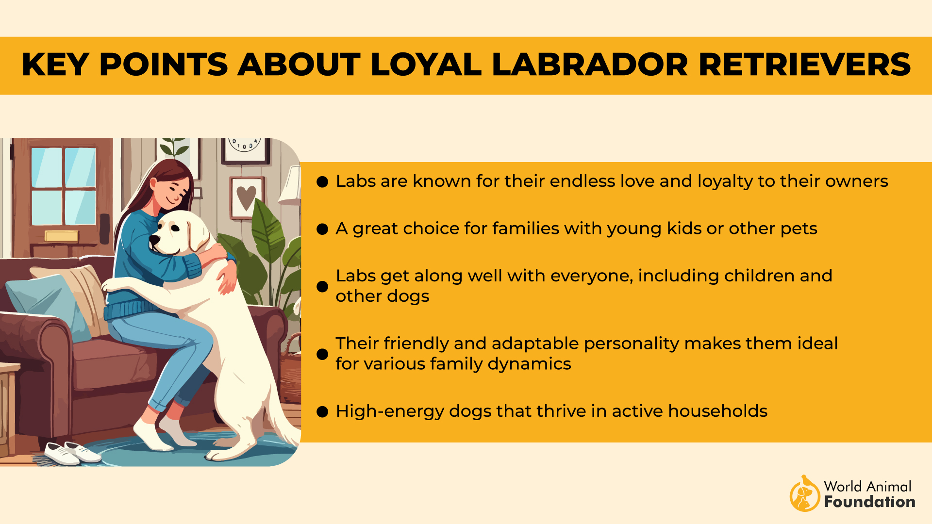 Key Points About Loyal Labrador Retrievers-01