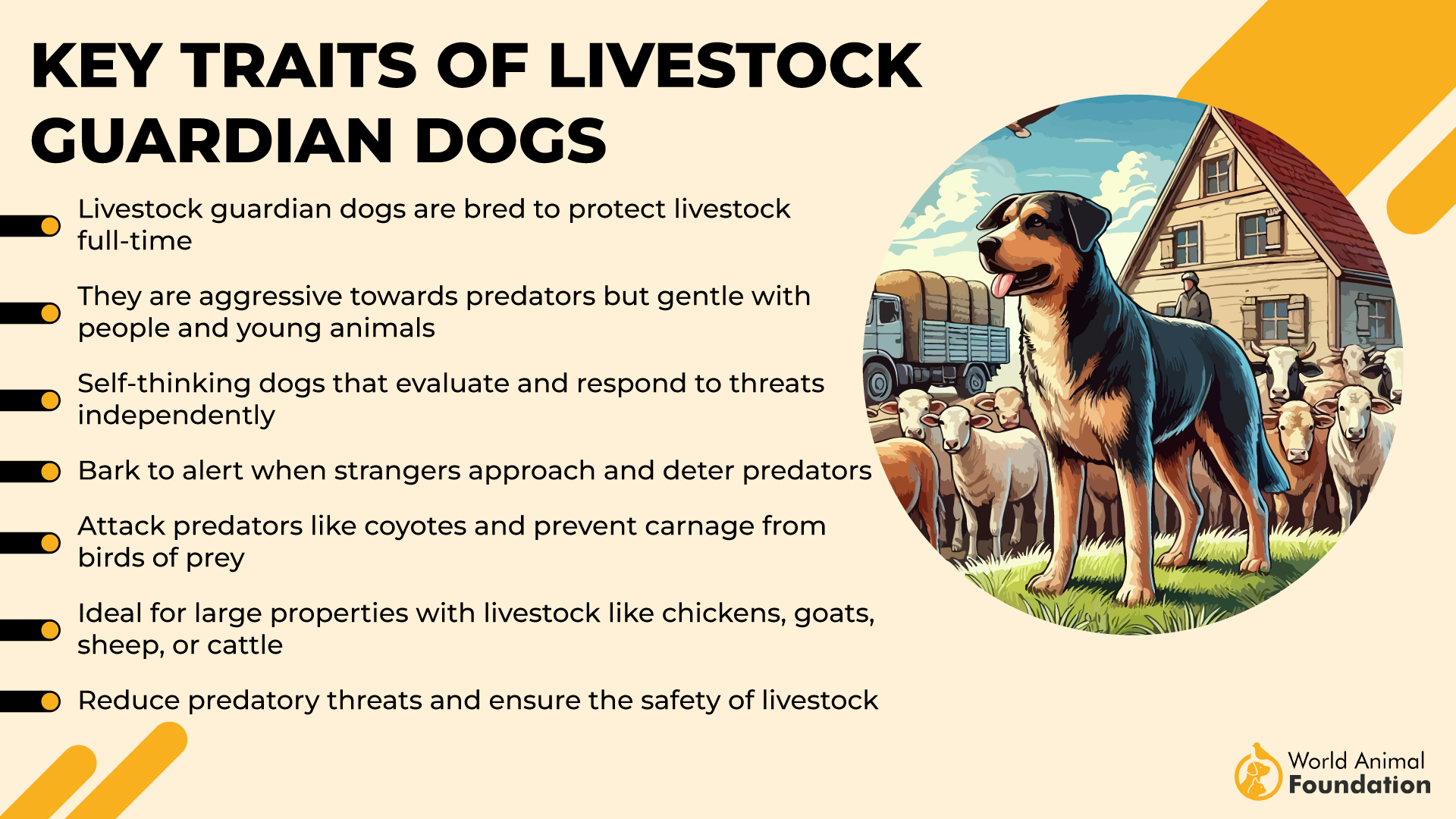 Key Traits of Livestock Guardian Dogs-01