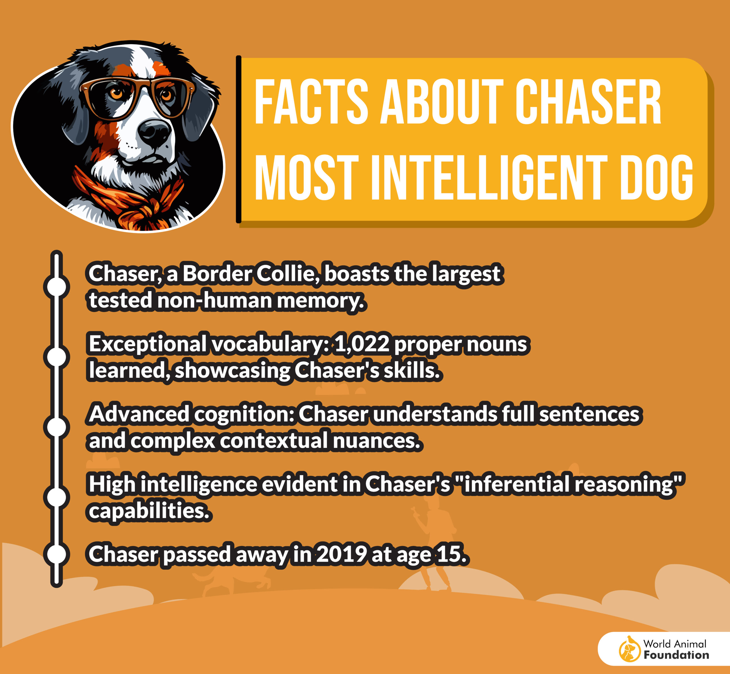 Most Intelligent Dog-01