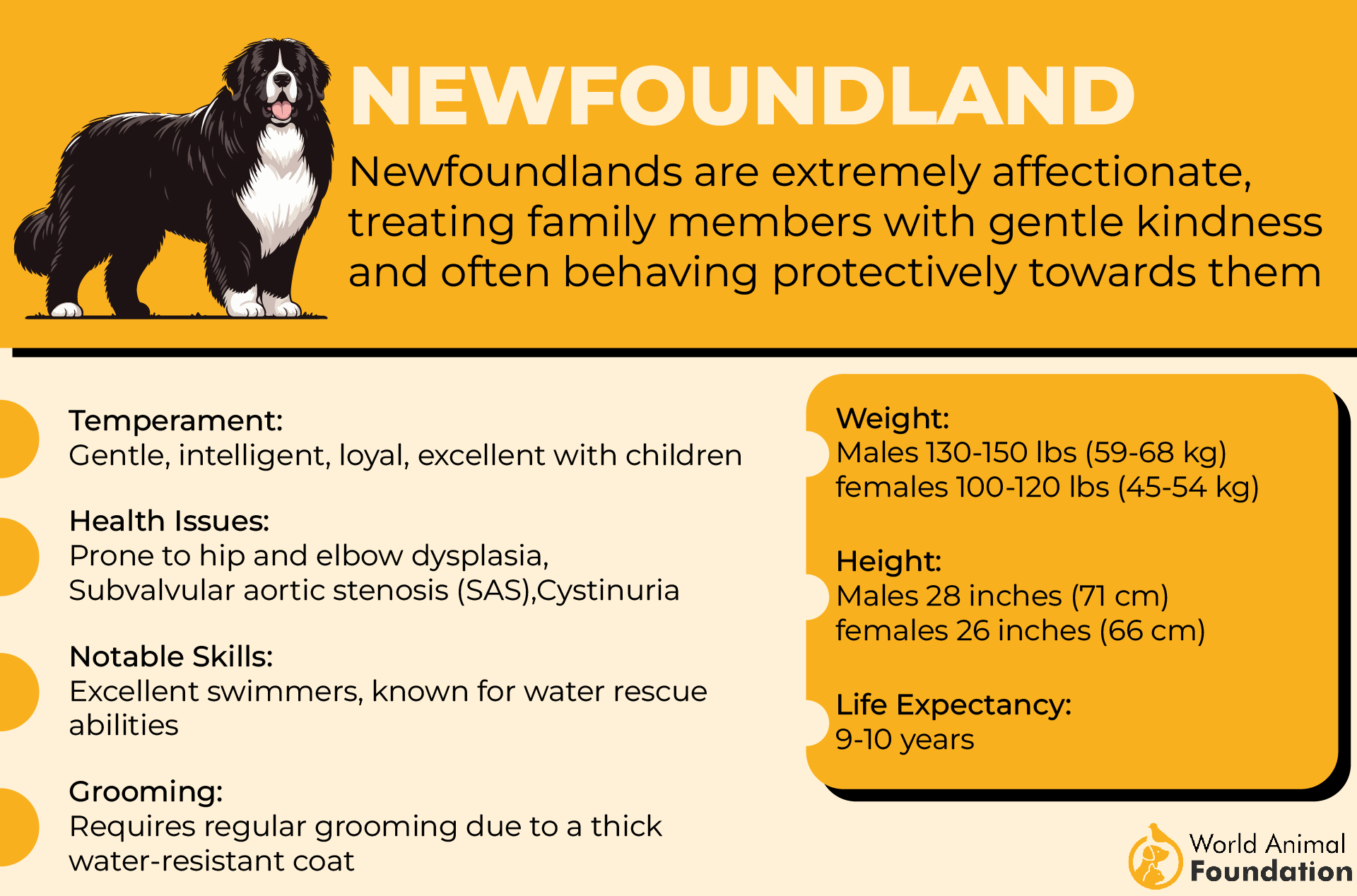 Newfoundland-01