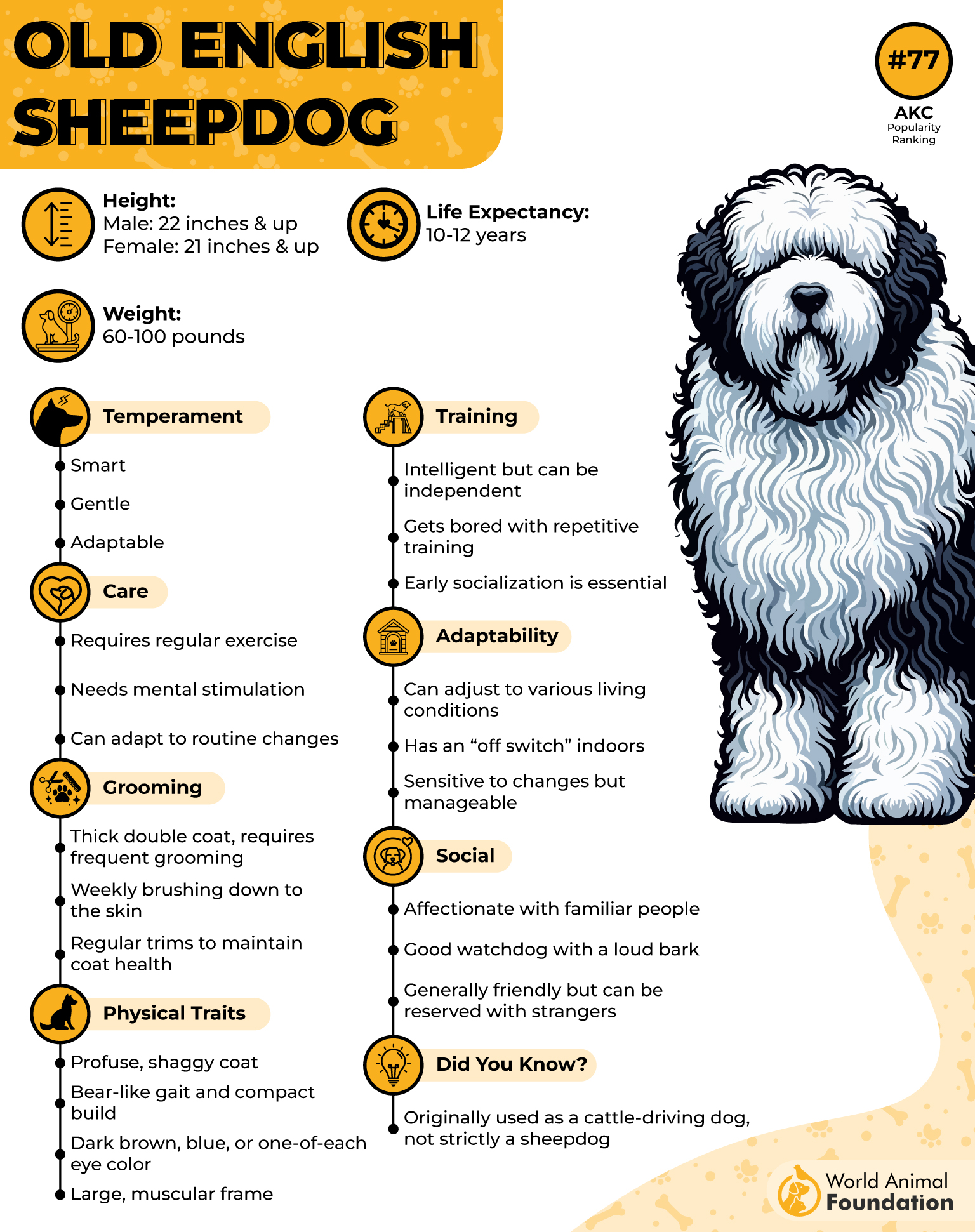 Old English Sheepdog Profile