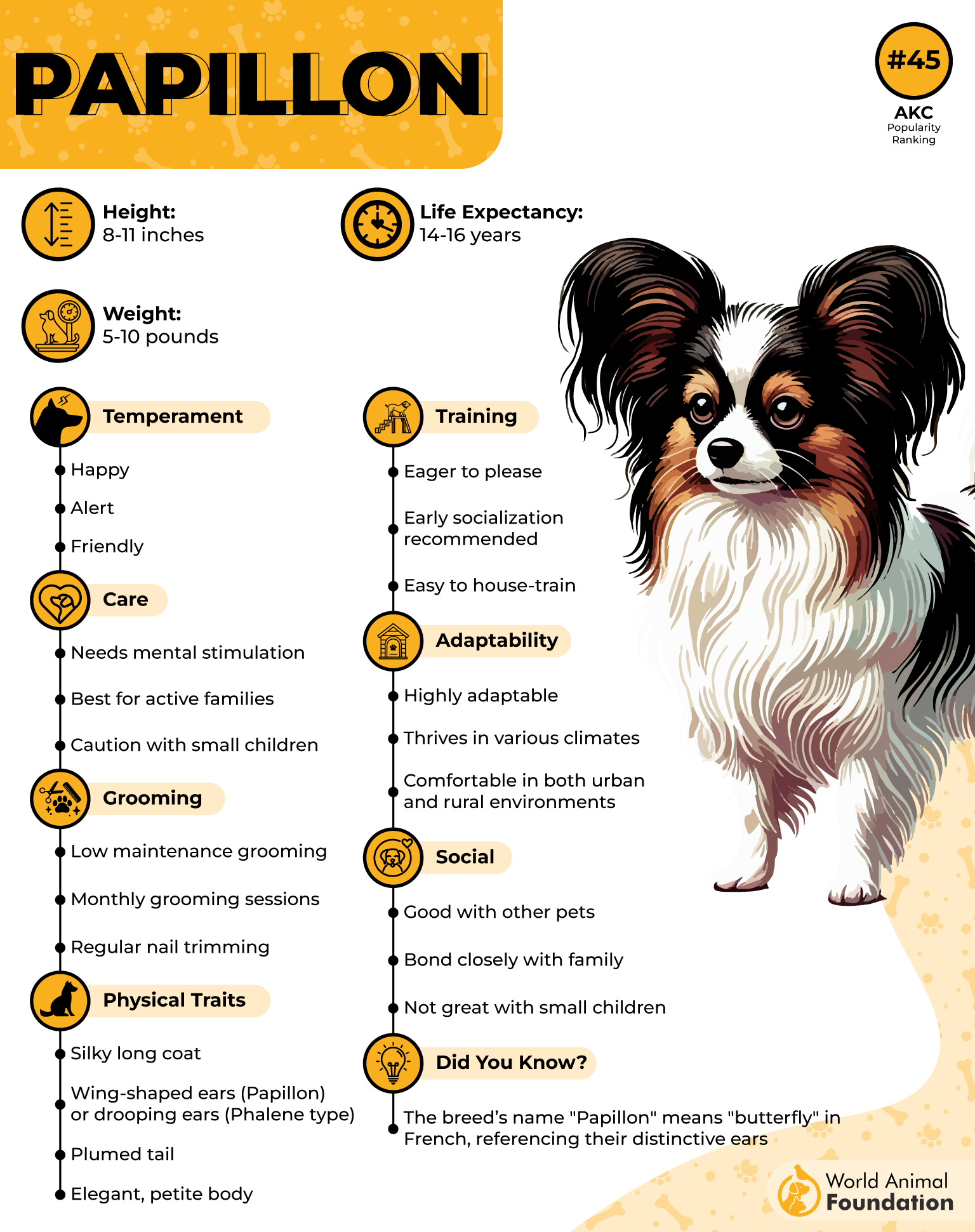 Papillon Profile