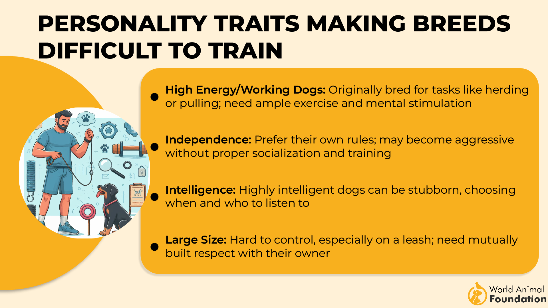 Personality Traits Making Breeds Difficult to Train-01