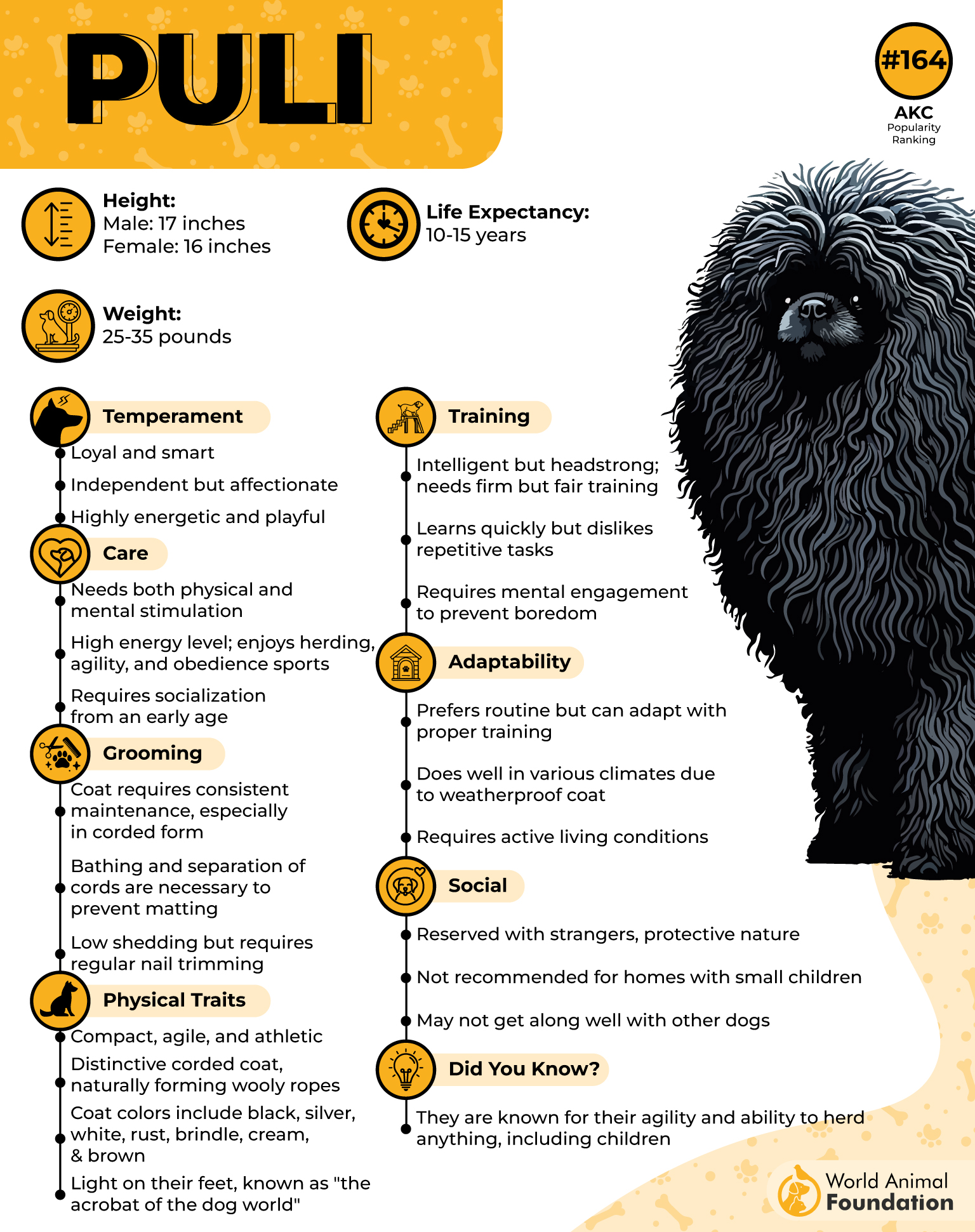 Puli Profile