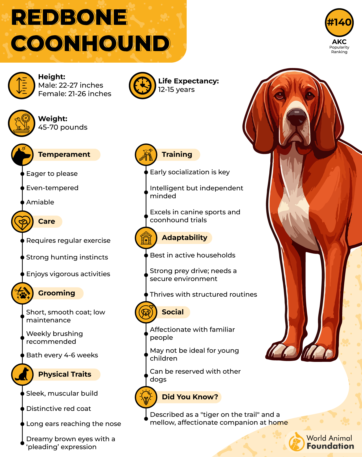 Redbone coonhound Profile