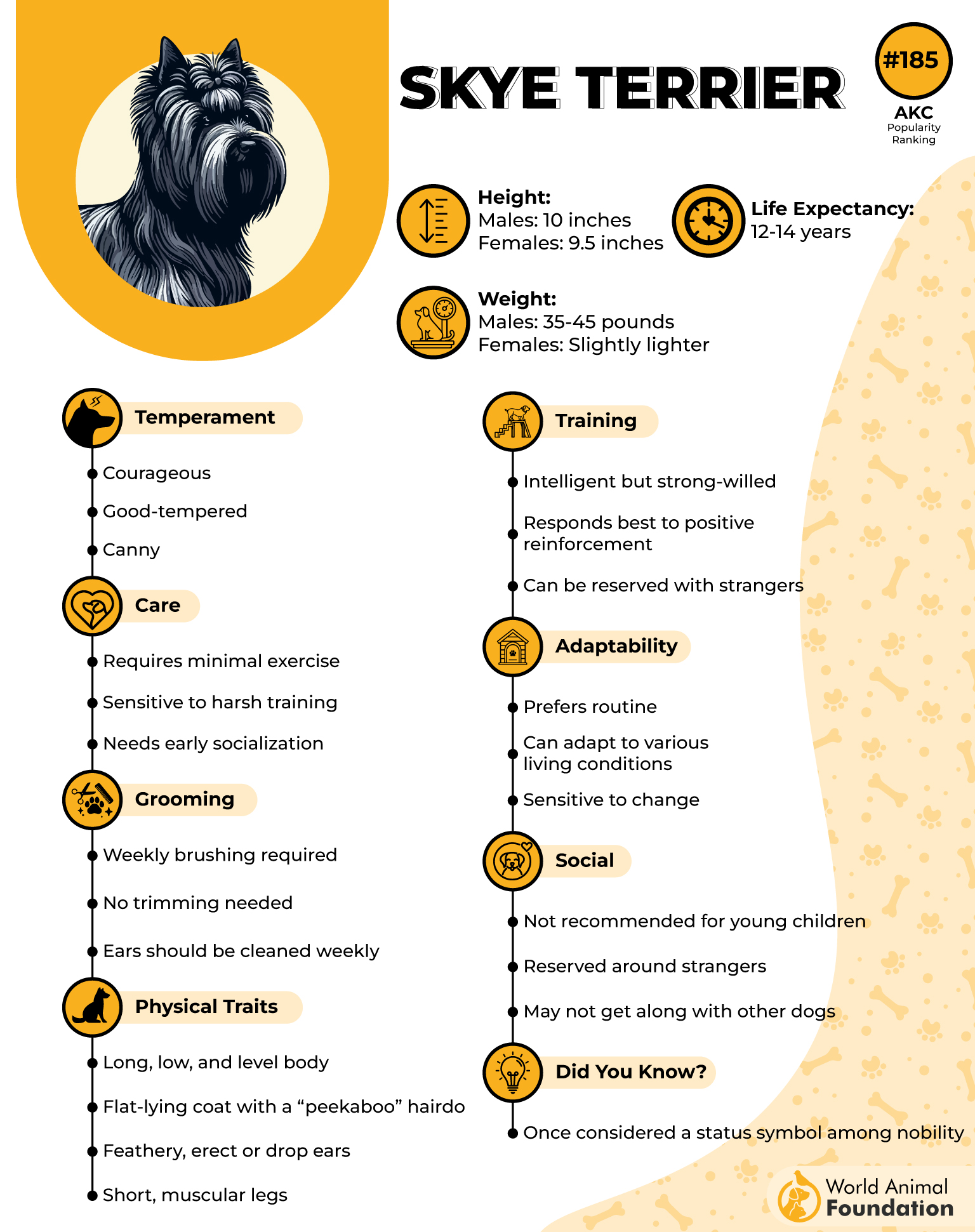 Skye Terrier Profile