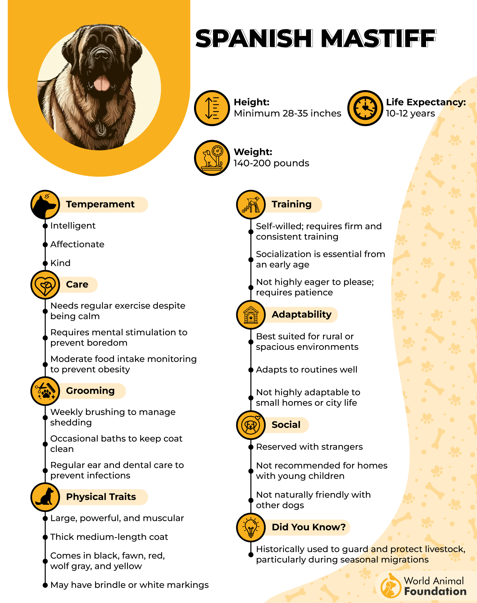 Spanish Mastiff Profile