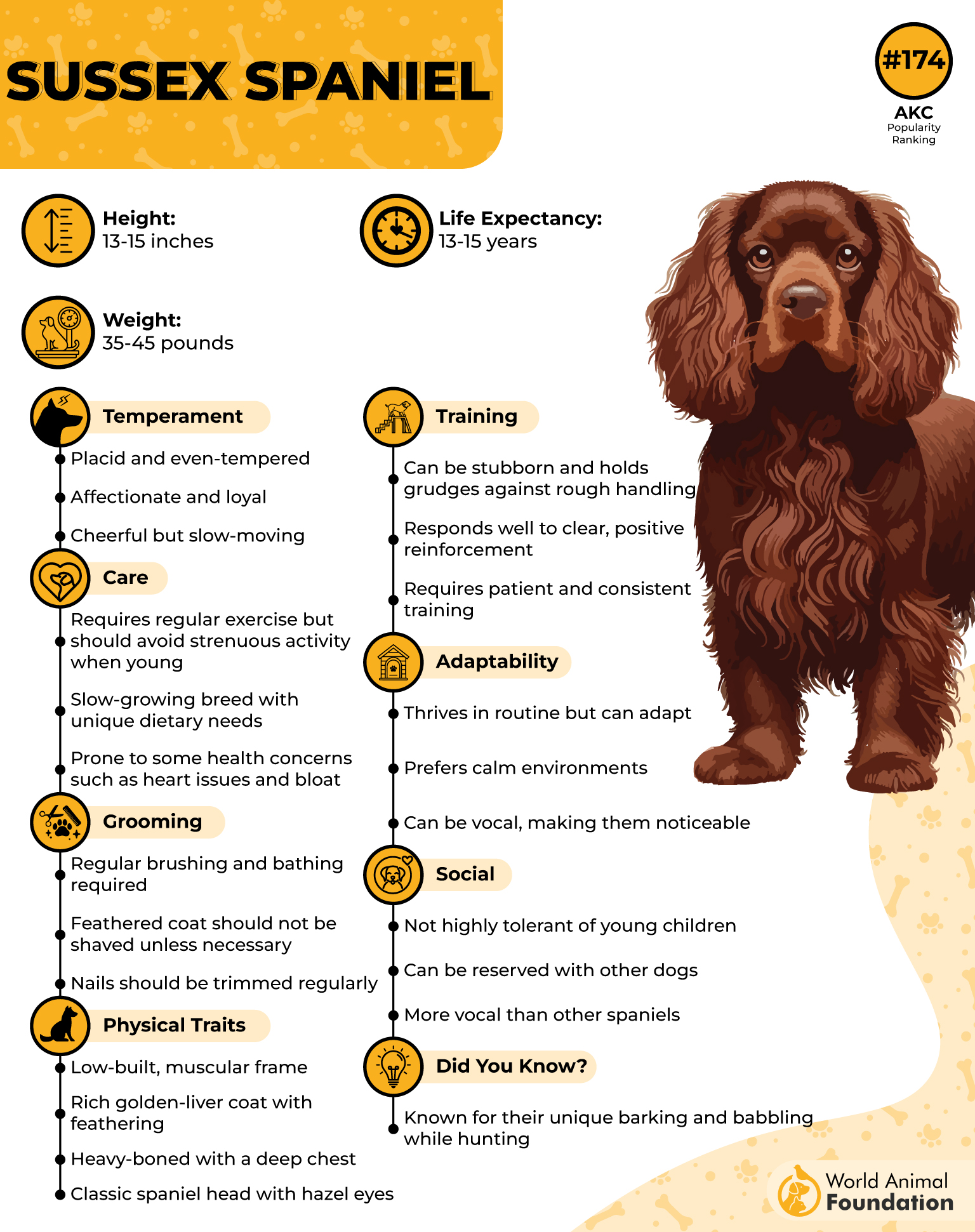 Sussex Spaniel Profile