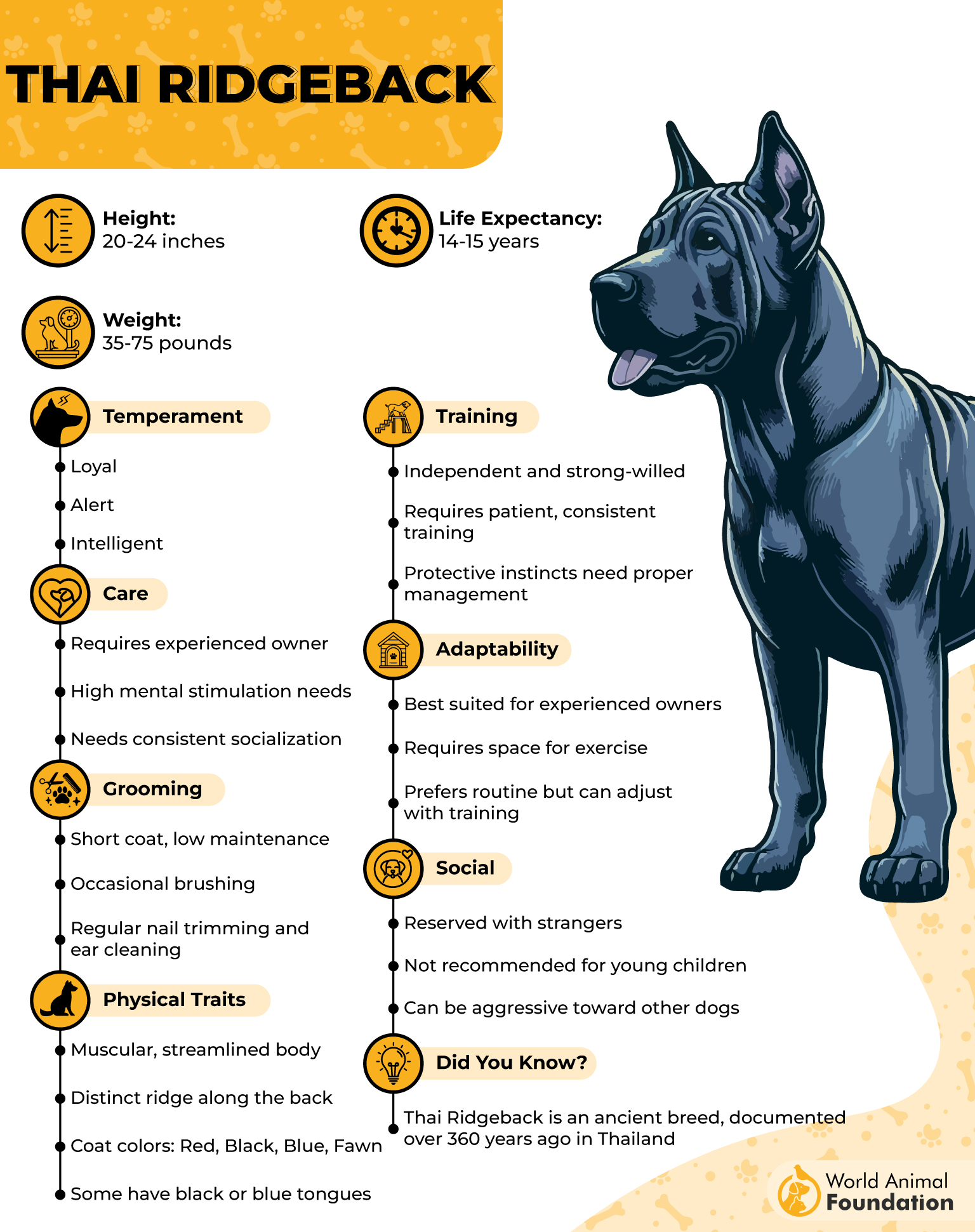 Thai Ridgeback Profile