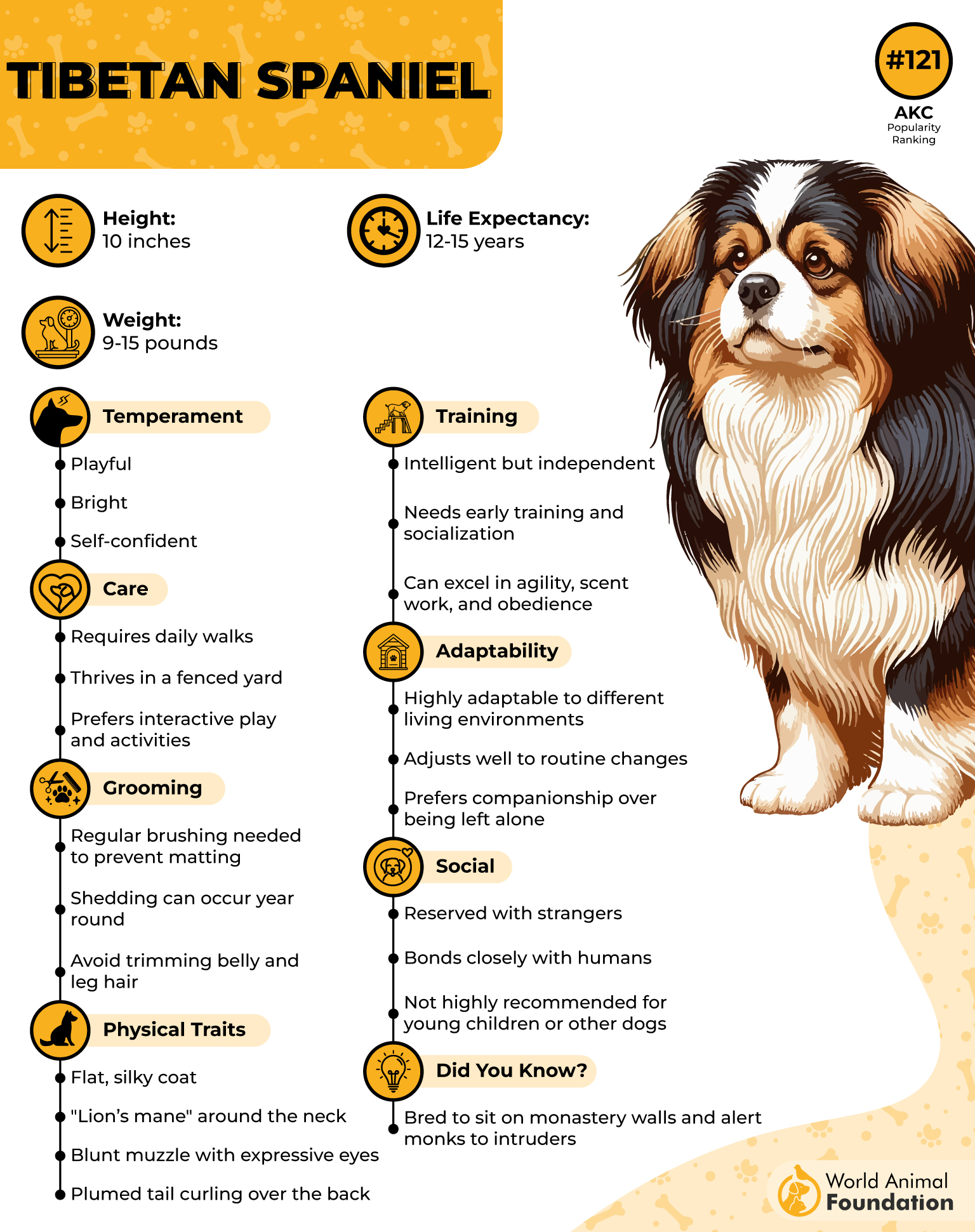 Tibetan Spaniel Profile