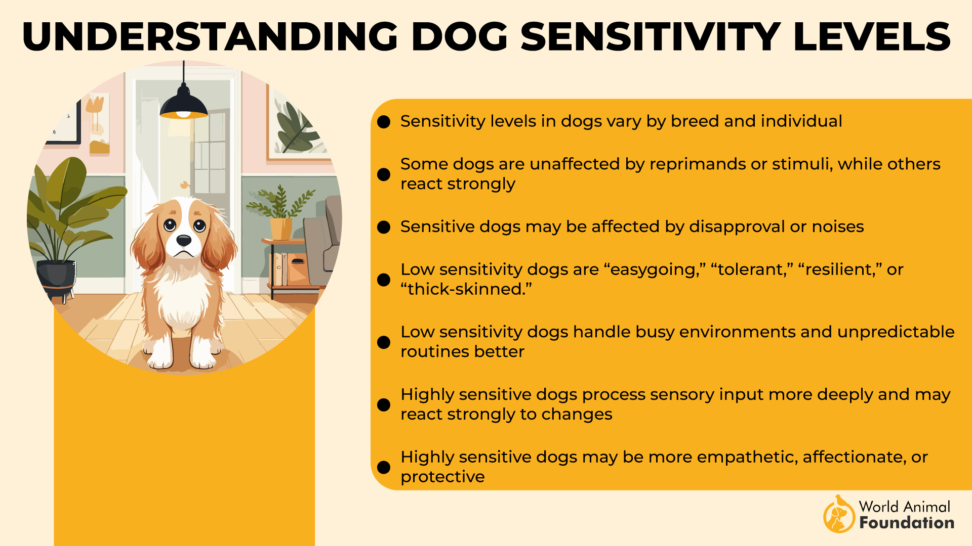 Understanding Dog Sensitivity Levels-01