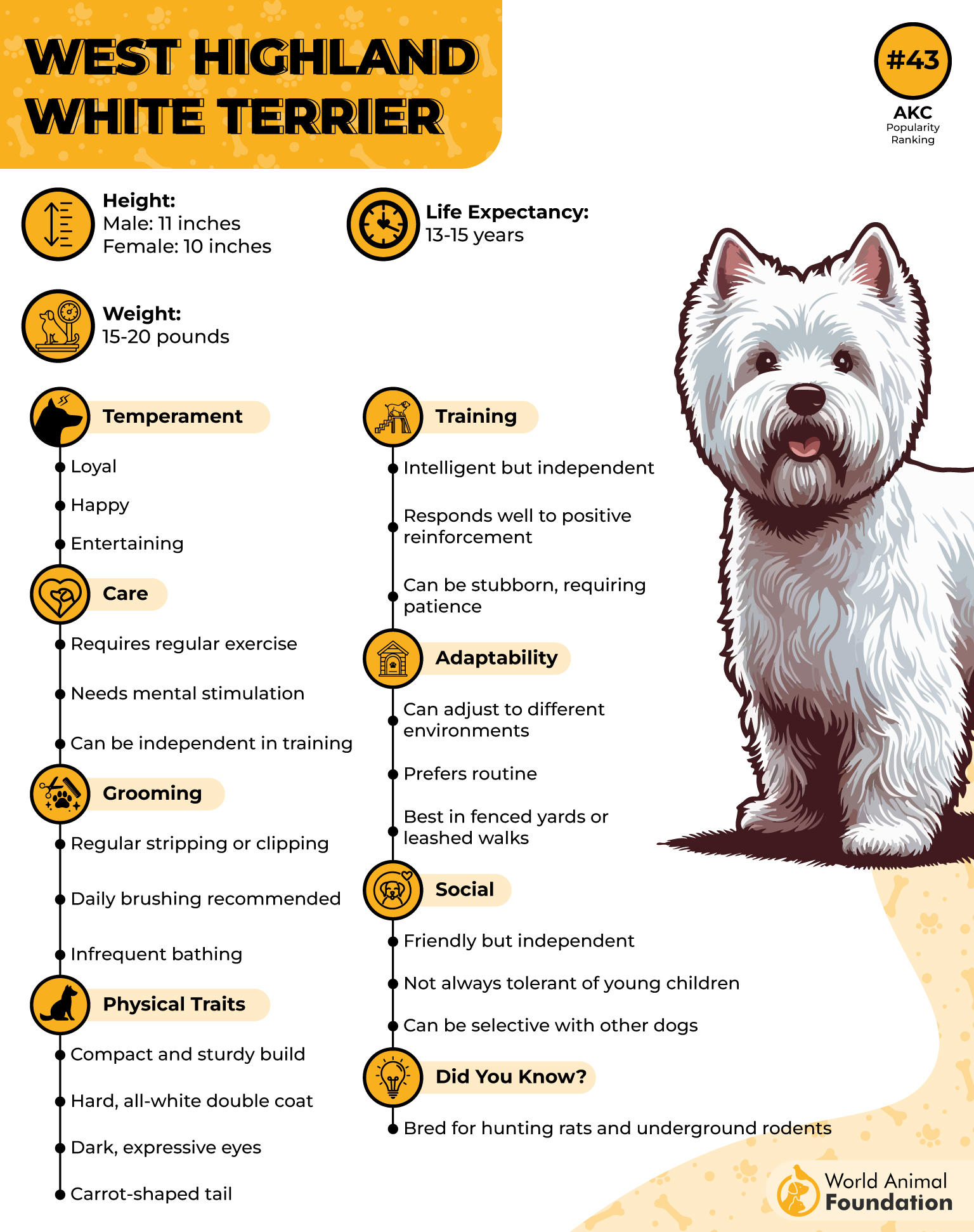 West Highland White Terrier Profile